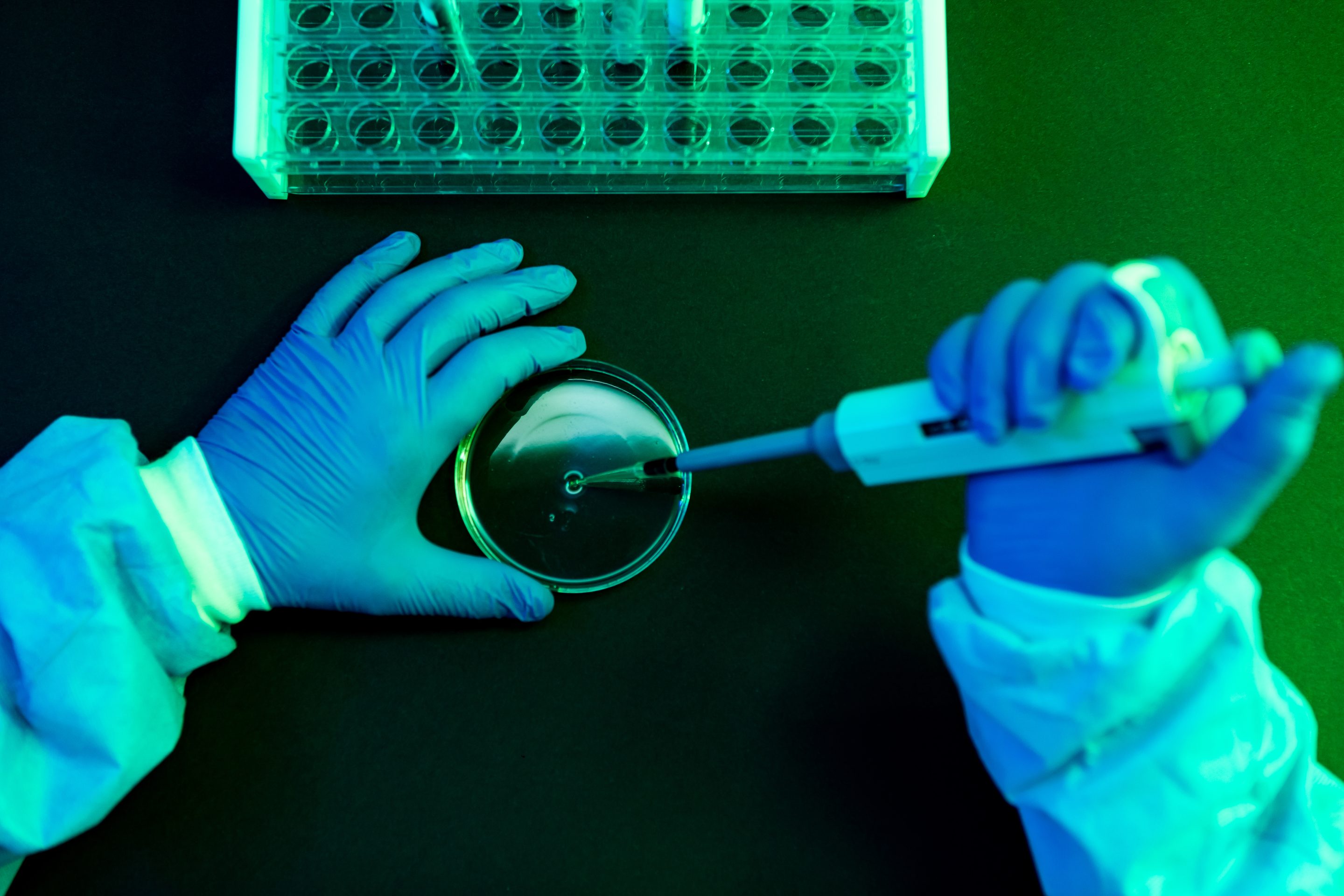 Aerial view of the hands of a scientist at work