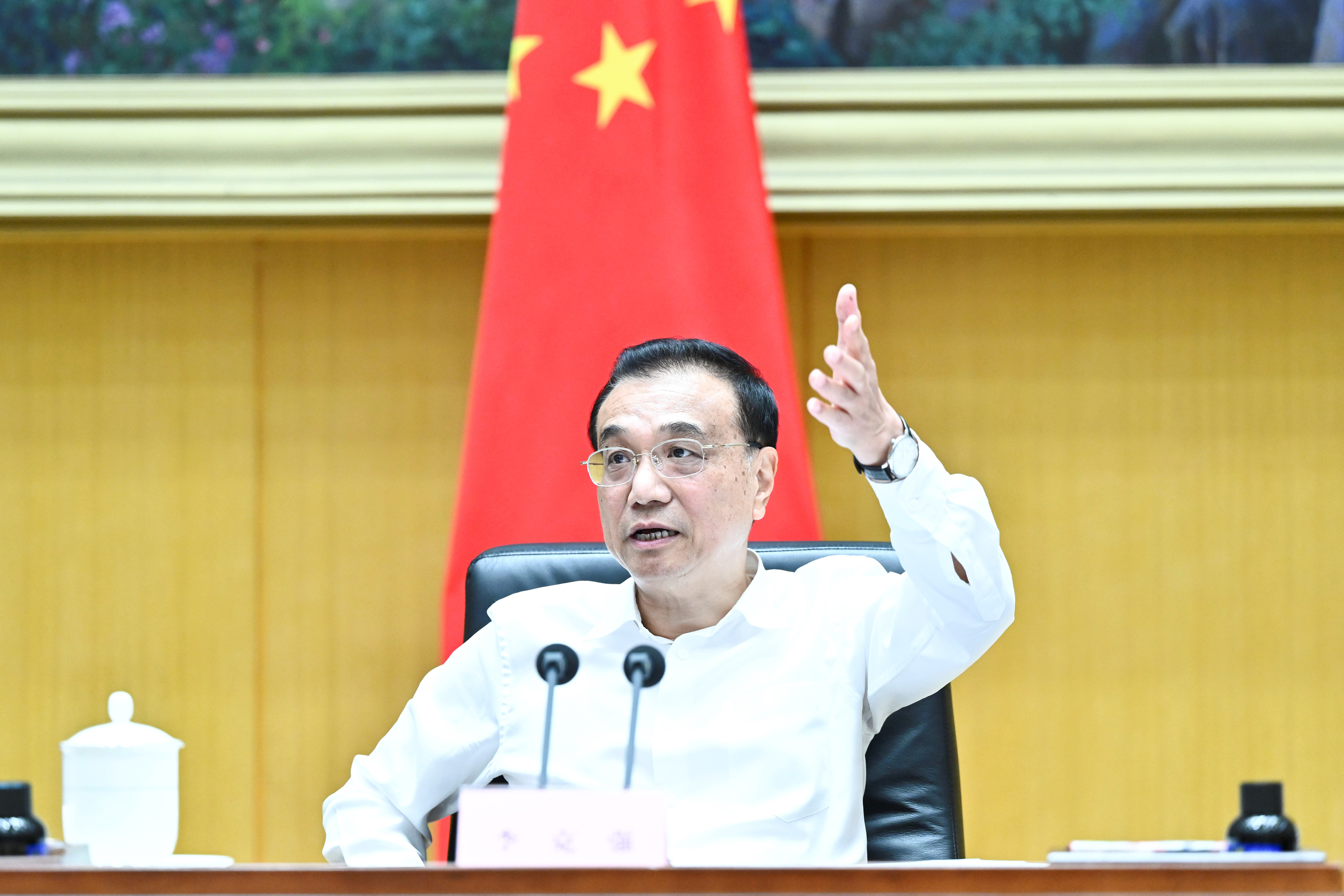 Chinese Premier Li Keqiang speaks at a teleconference on implementing policies to stabilize the economy.