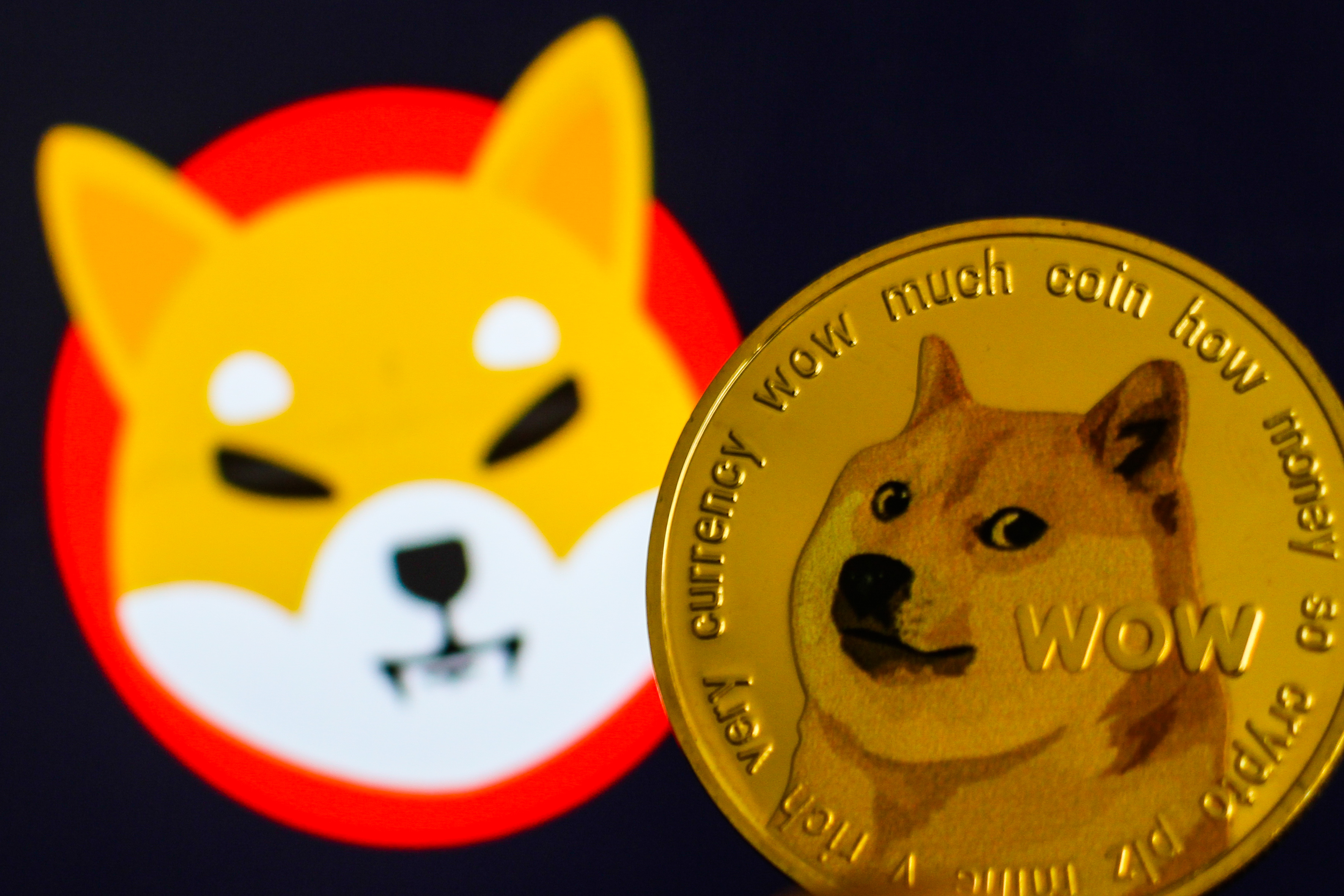 Shiba Inu and Dogecoin led seven-day returns as Bitcoin and other major cryptocurrencies broke above resistance levels and stabilized over the weekend.