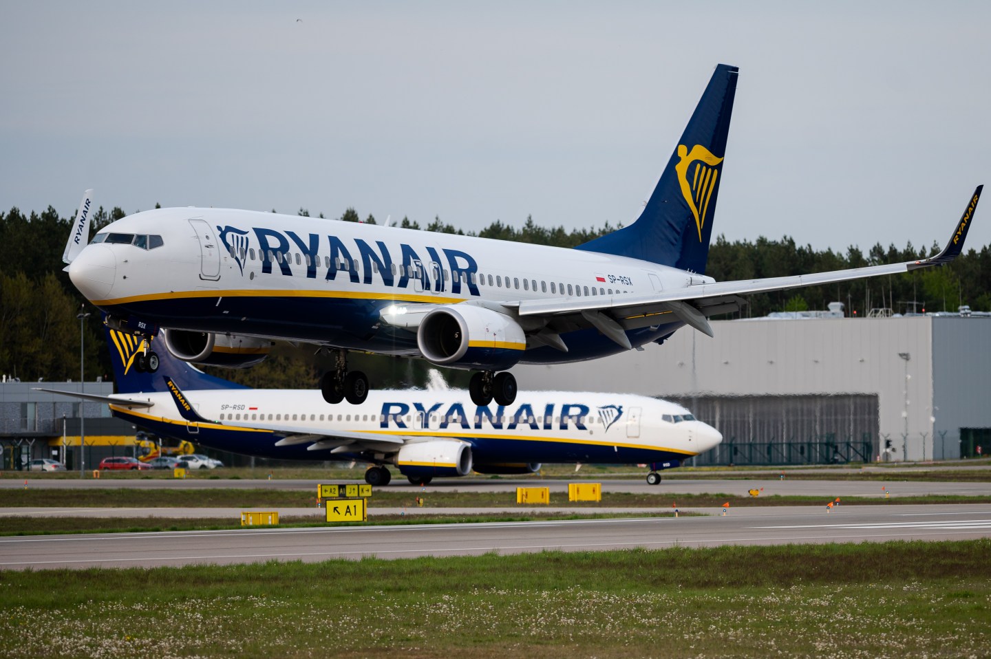 ‘Insane and discriminatory’: Ryanair’s Afrikaans questionnaire for traveling South Africans sparks backlash