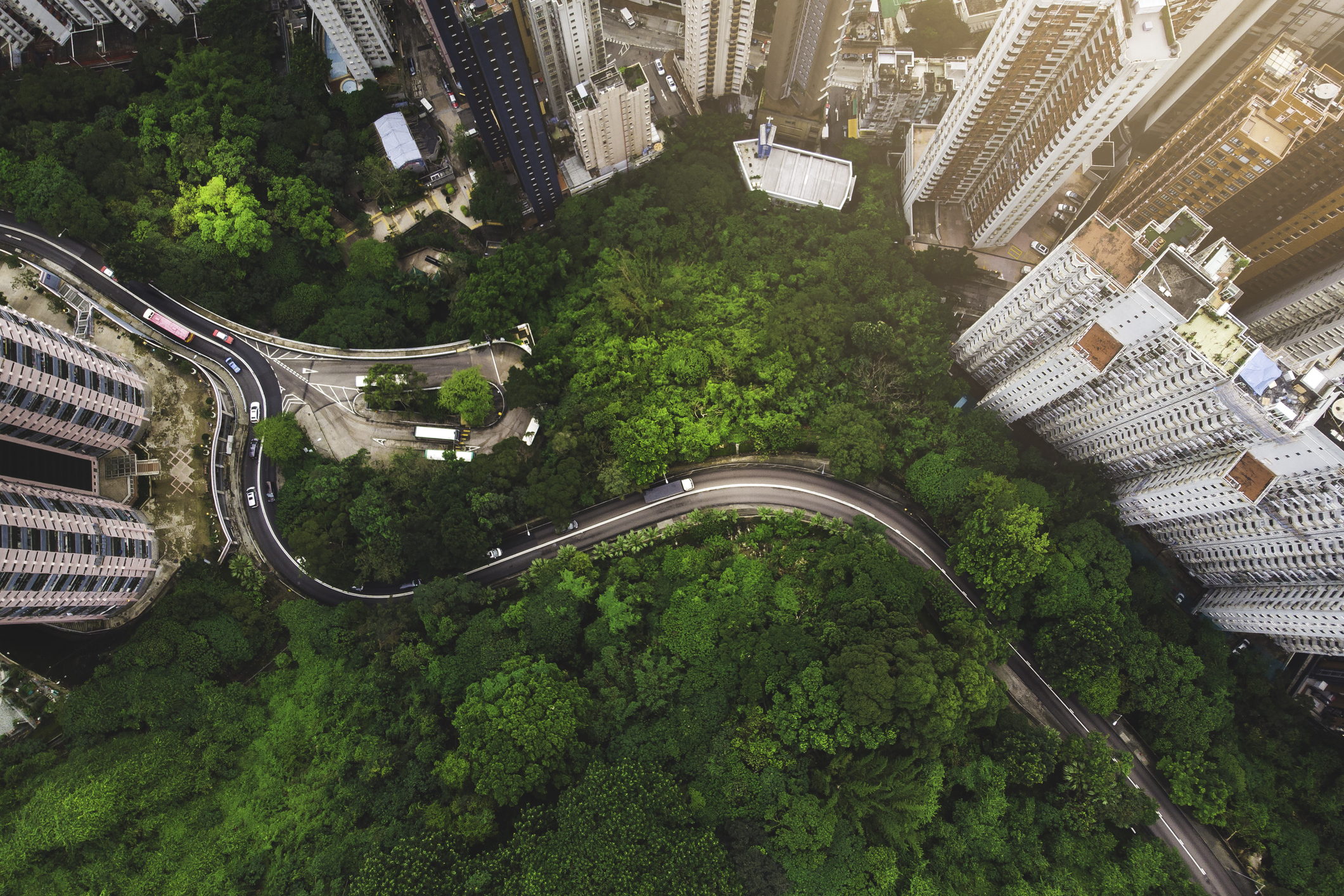 As climate leaders chart a path forward, there are some factors that play to their advantage.
