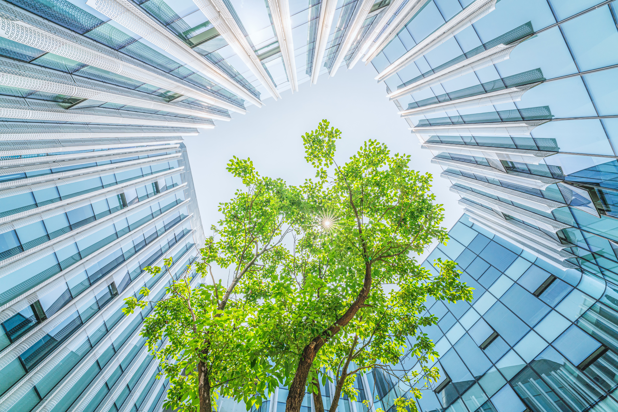 The truth is, most transformations fail. Here’s how to ensure yours is a success.