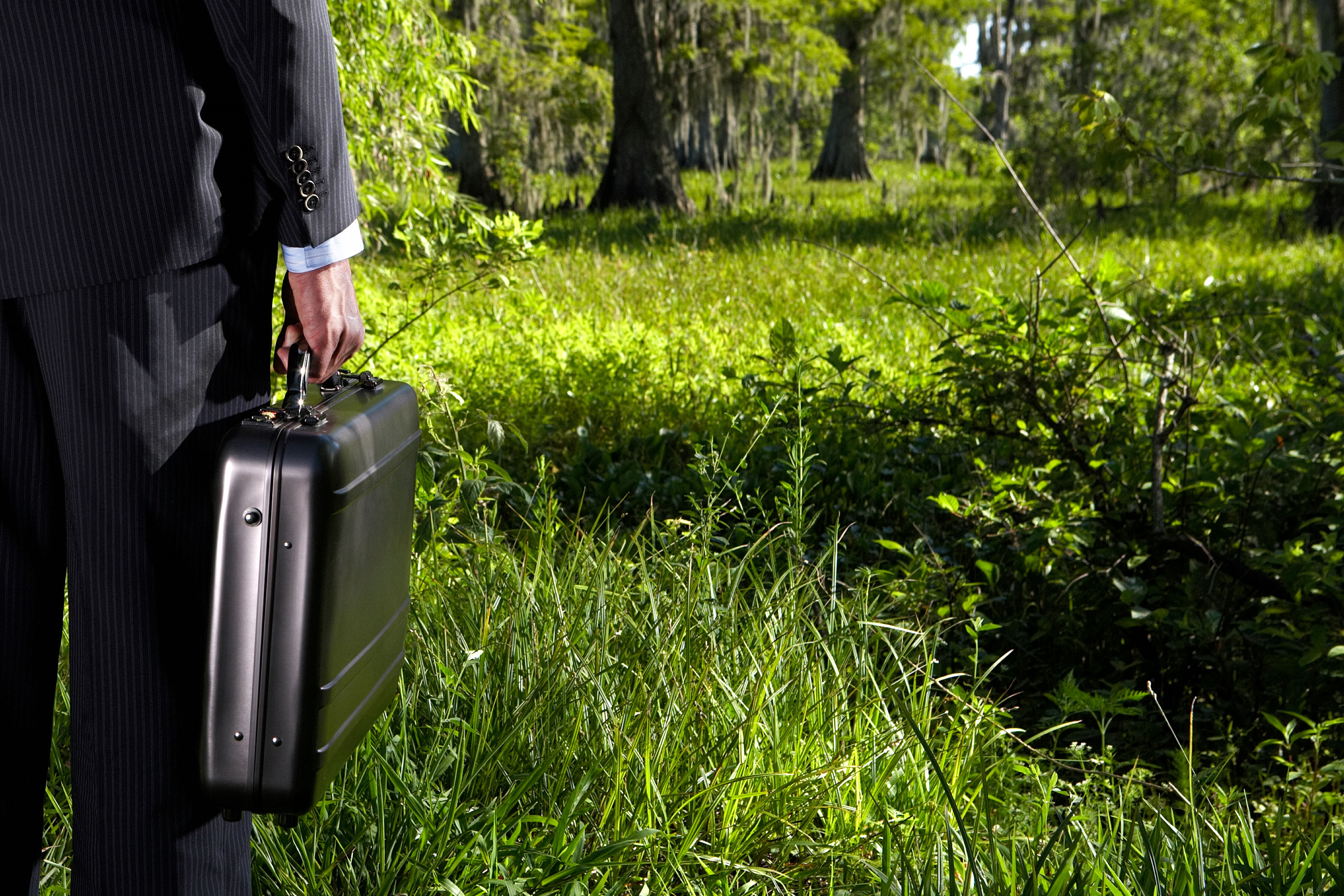 Businessman holding briefcase standing in long grass, rear view