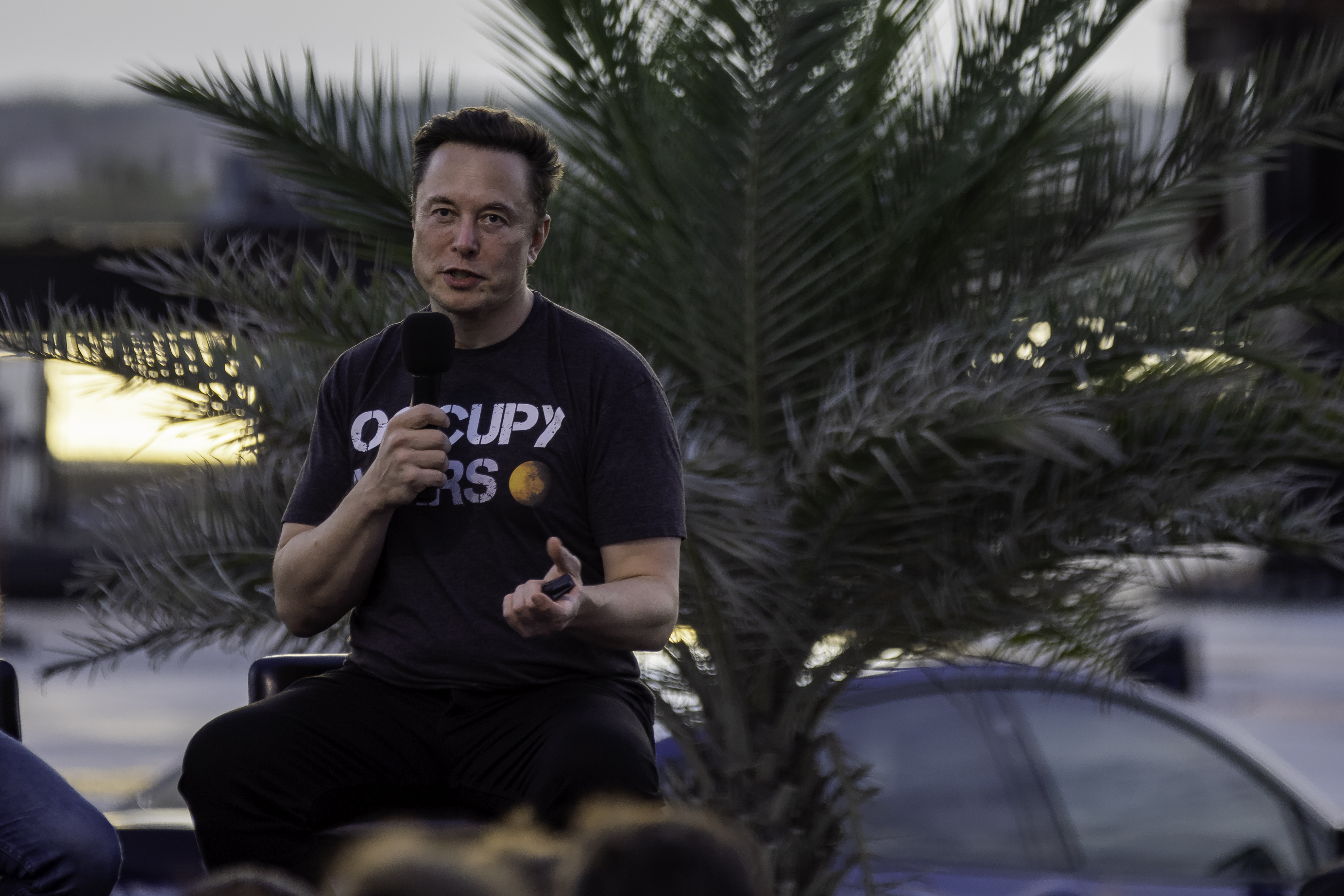 Tesla CEO Elon Musk.