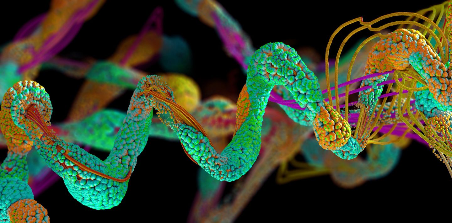 Close-up illustration of a protein.