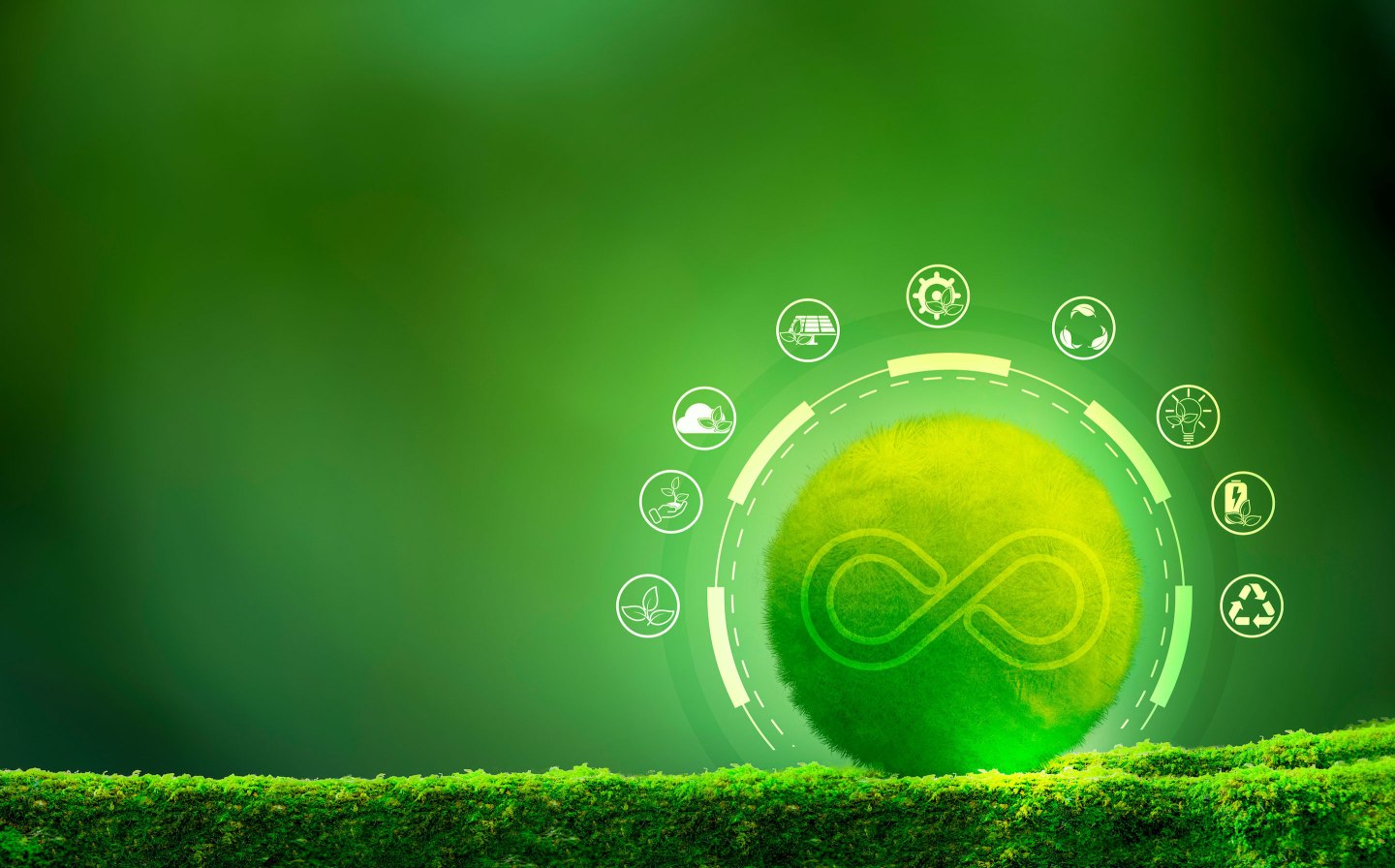 What a circular economy means for sustainable retail