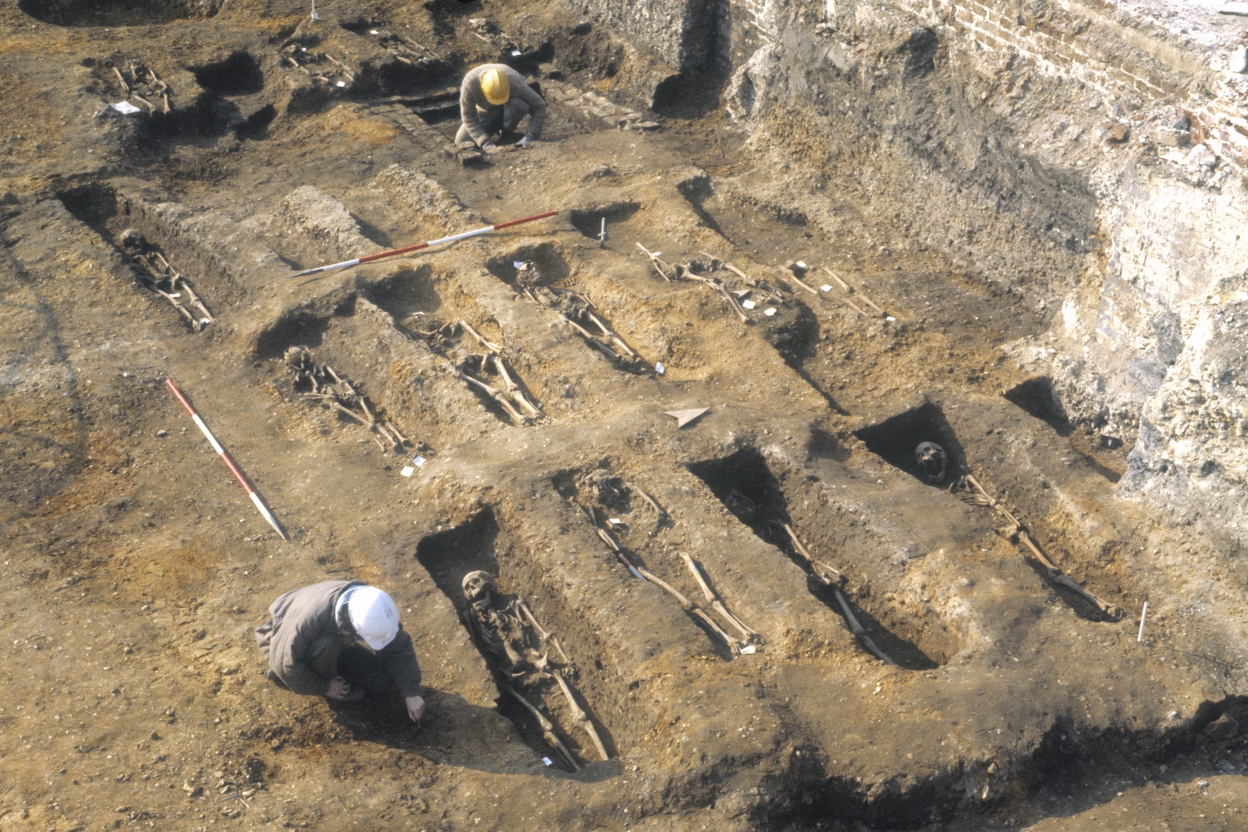 mass grave from black death