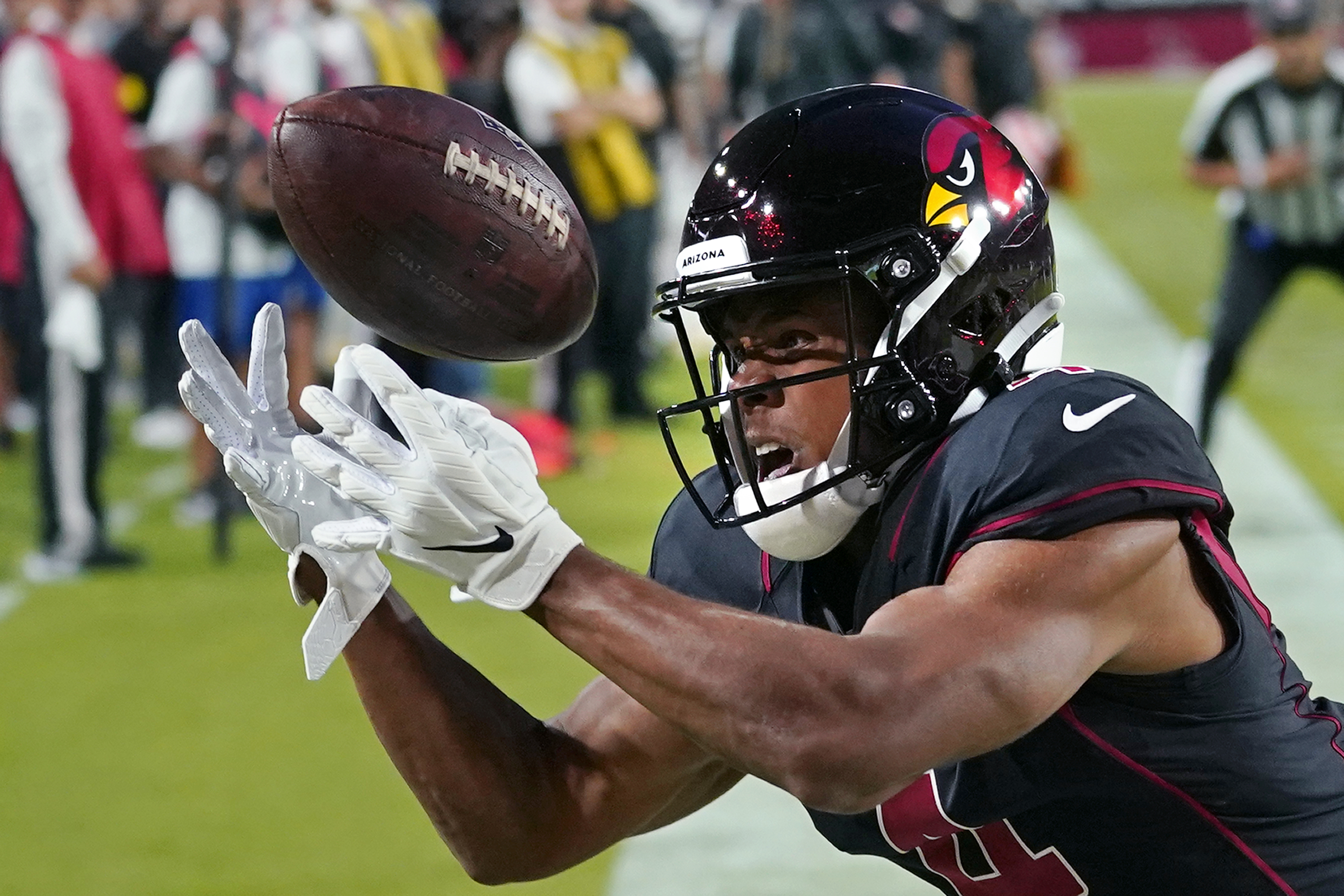 Arizona Cardinals