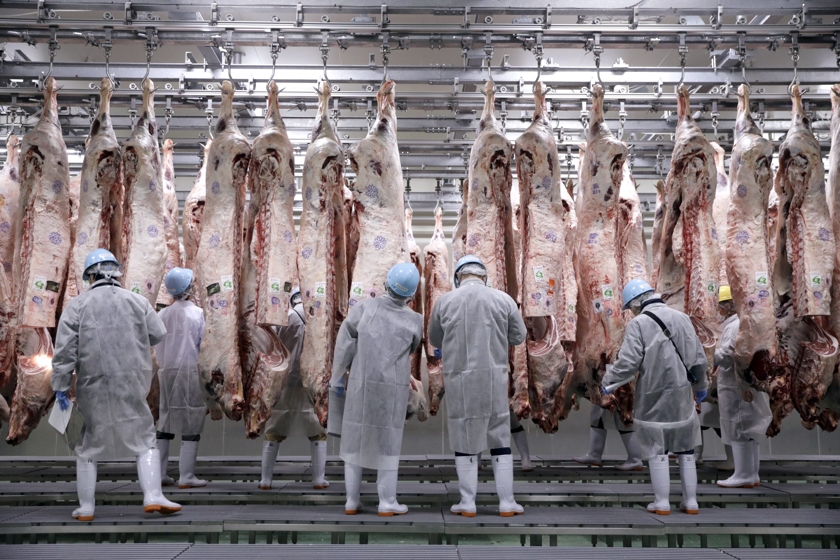 Trailers of meat products were stolen by the gang