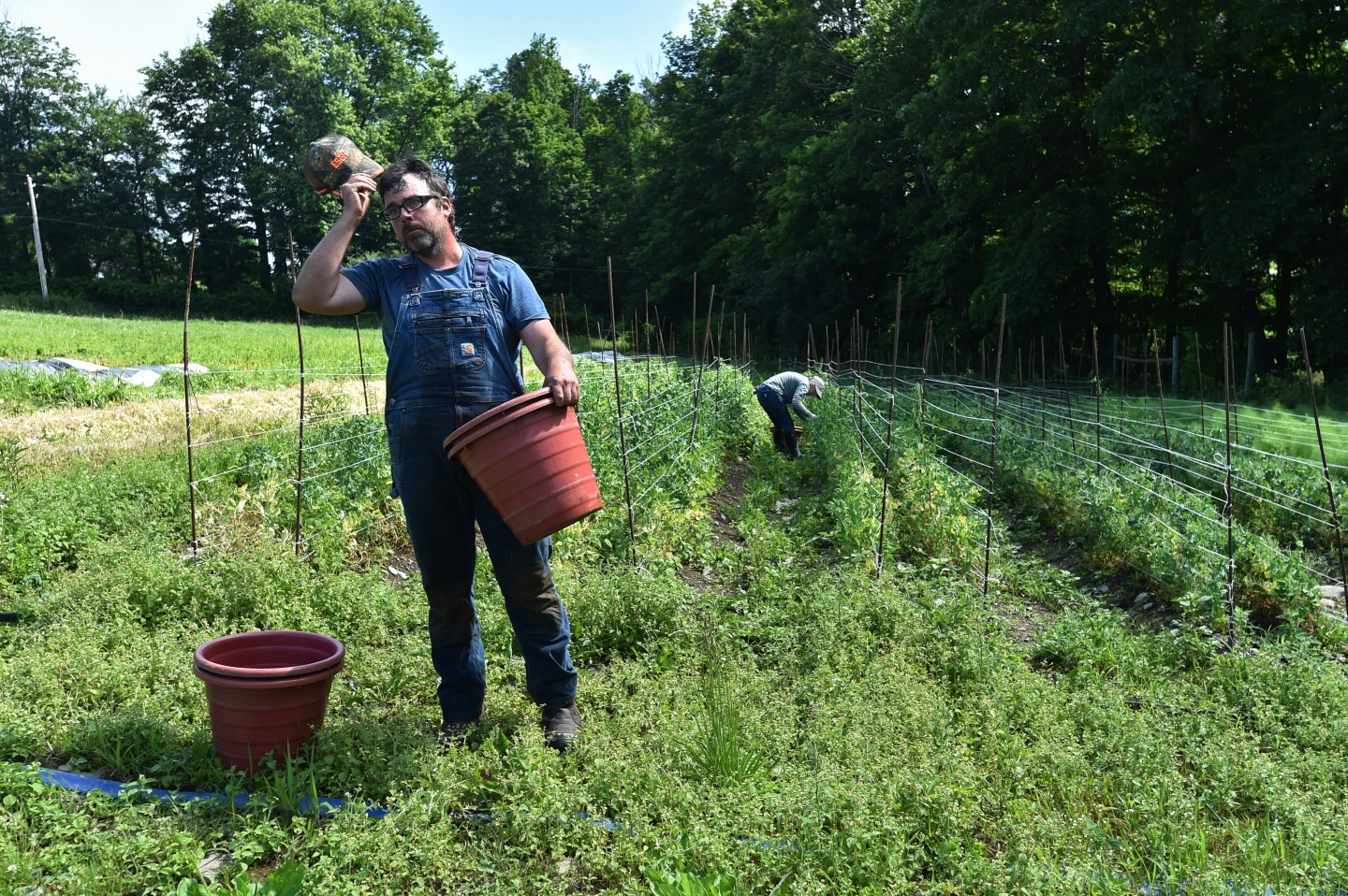 farm worker