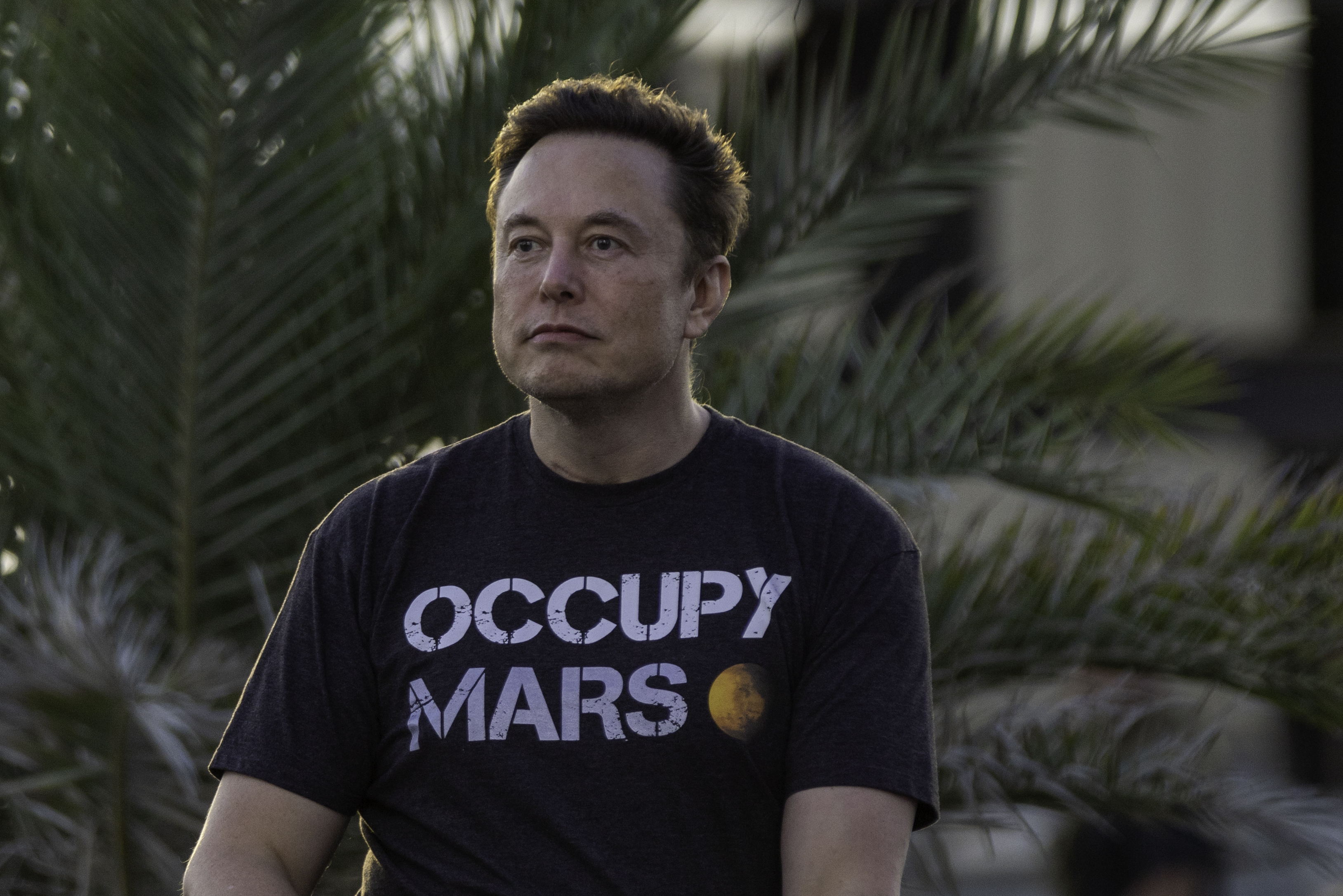 SpaceX CEO Elon Musk said he may join the first colonists on Mars. Before that happens, though, his Starship needs to complete its maiden orbital flight.