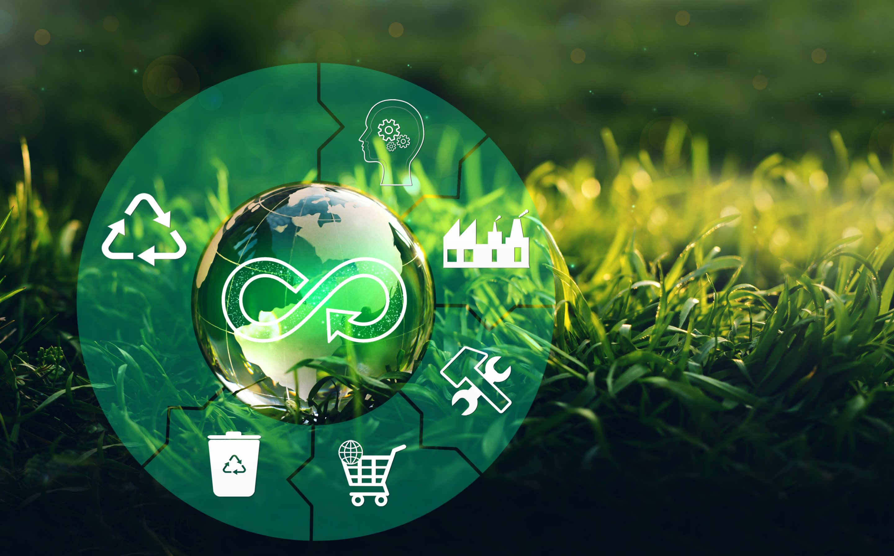 It’s time for companies to look beyond the bottom of the funnel. Consumers in each of these groups have the potential to make sustainable choices, but leaders must use specific strategies for reaching them.