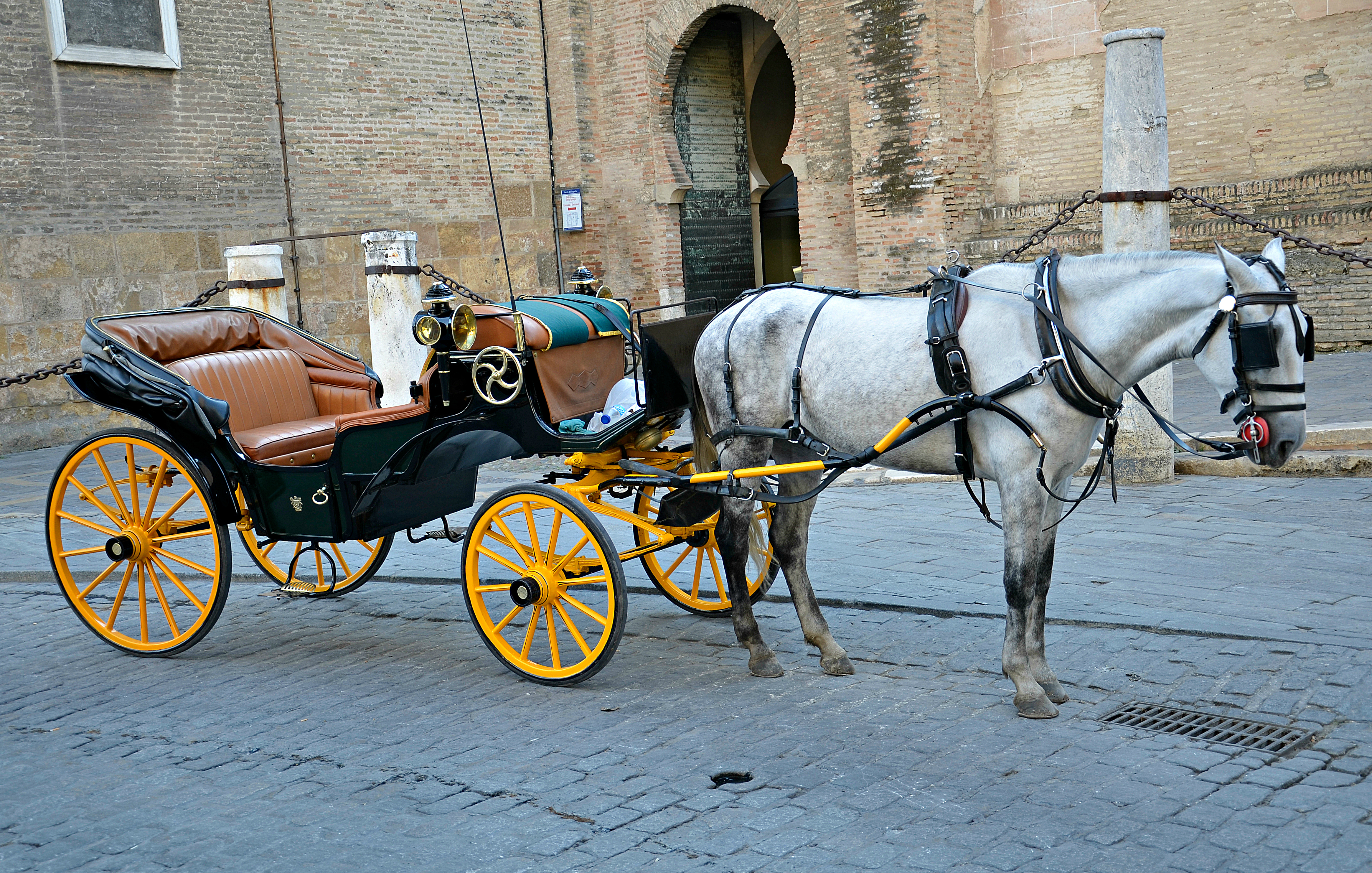 A horse and buggy