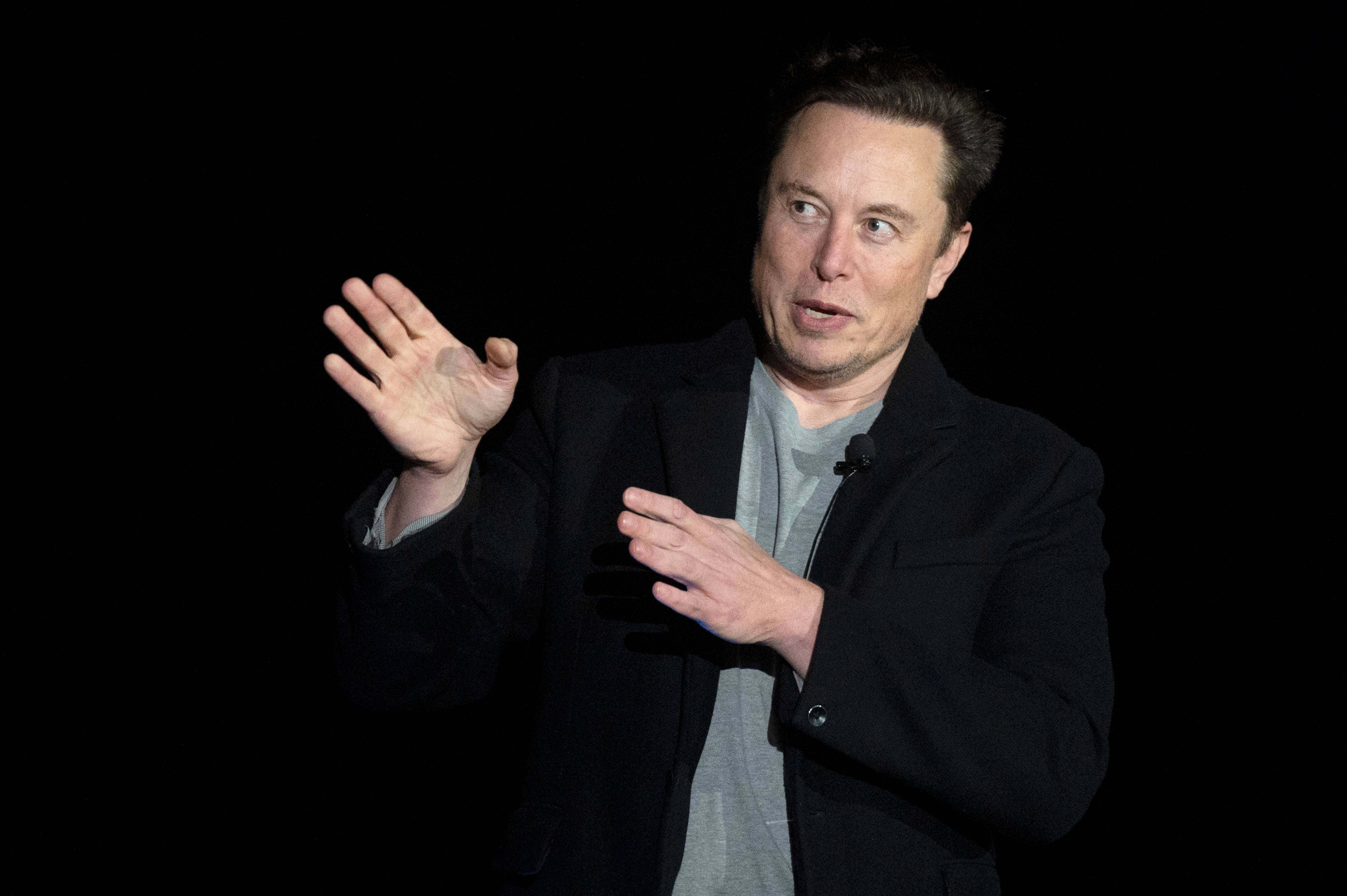 New Twitter chief Elon Musk