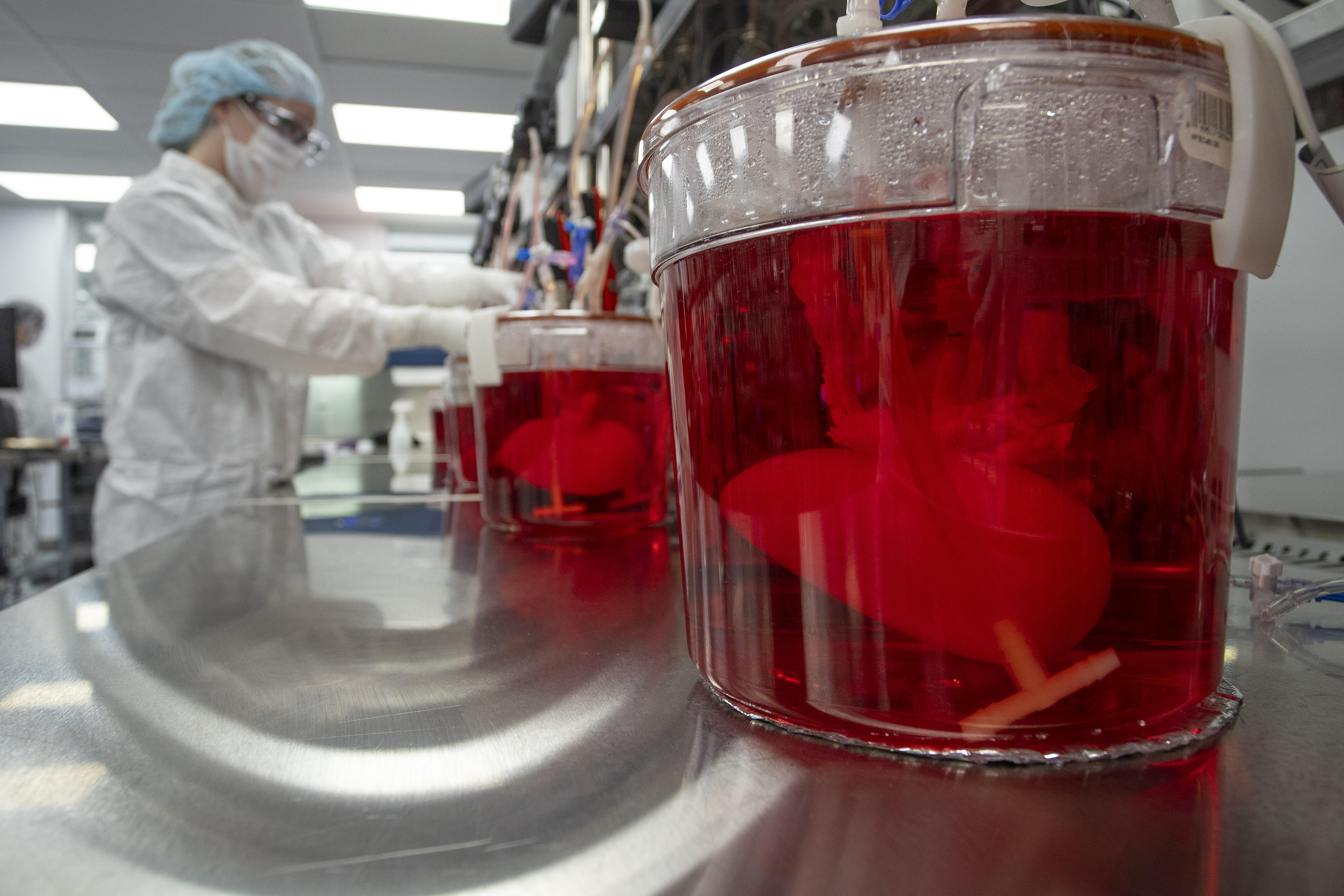 Bioengineered Organs