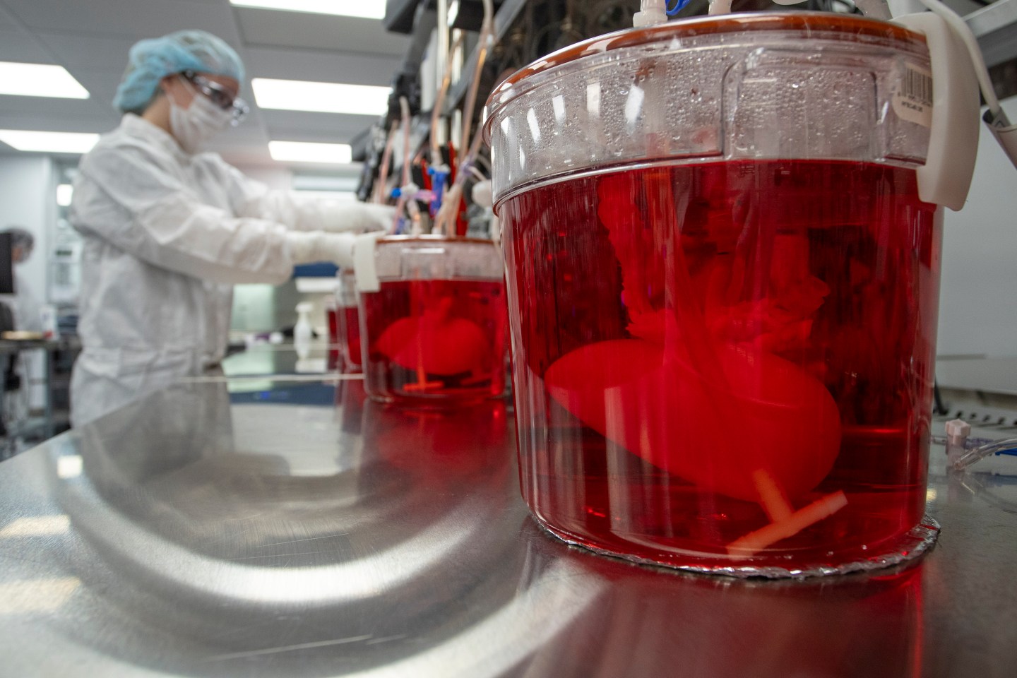 Bioengineered Organs