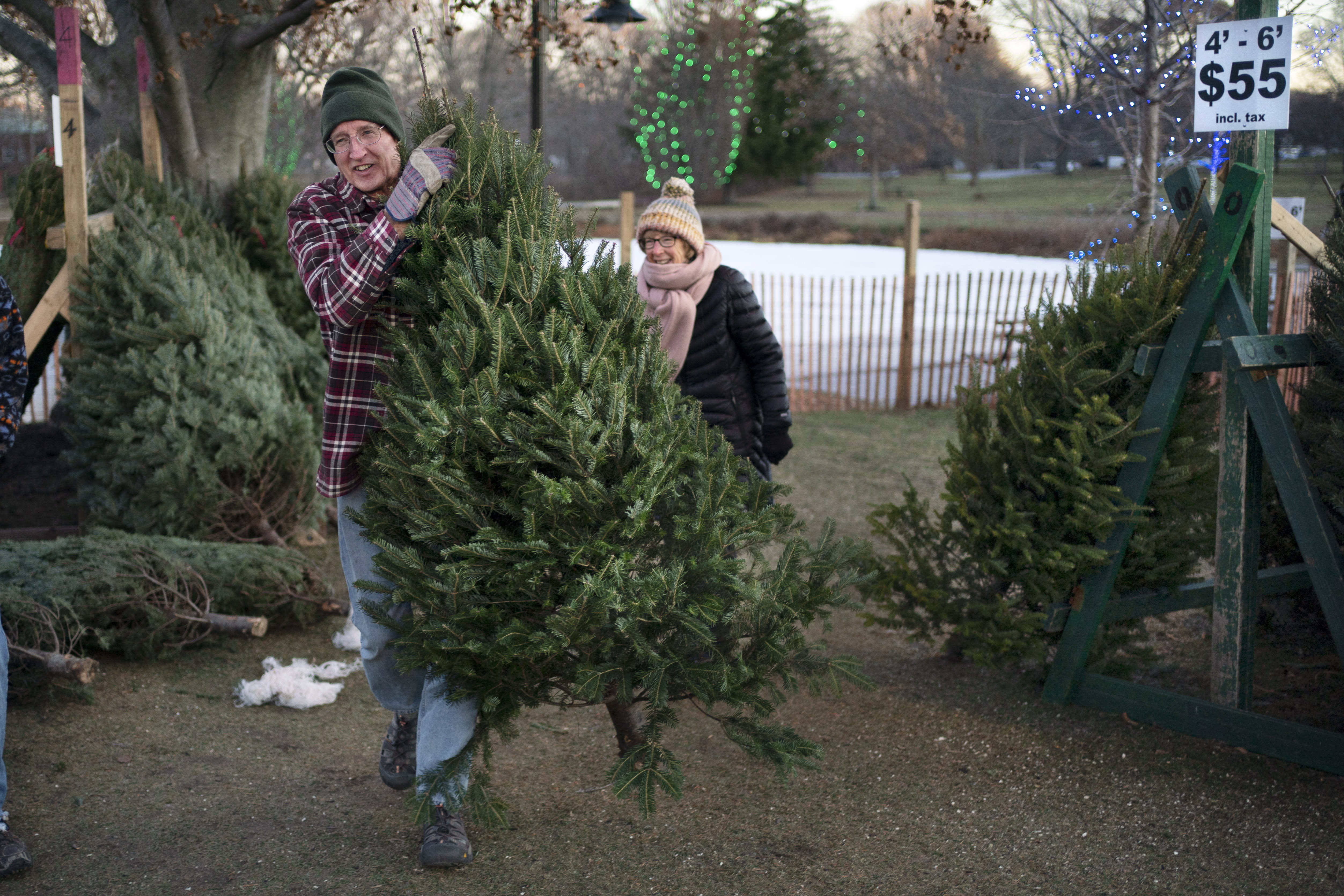 A man carrying a Christmas tree as a woman walks behind him