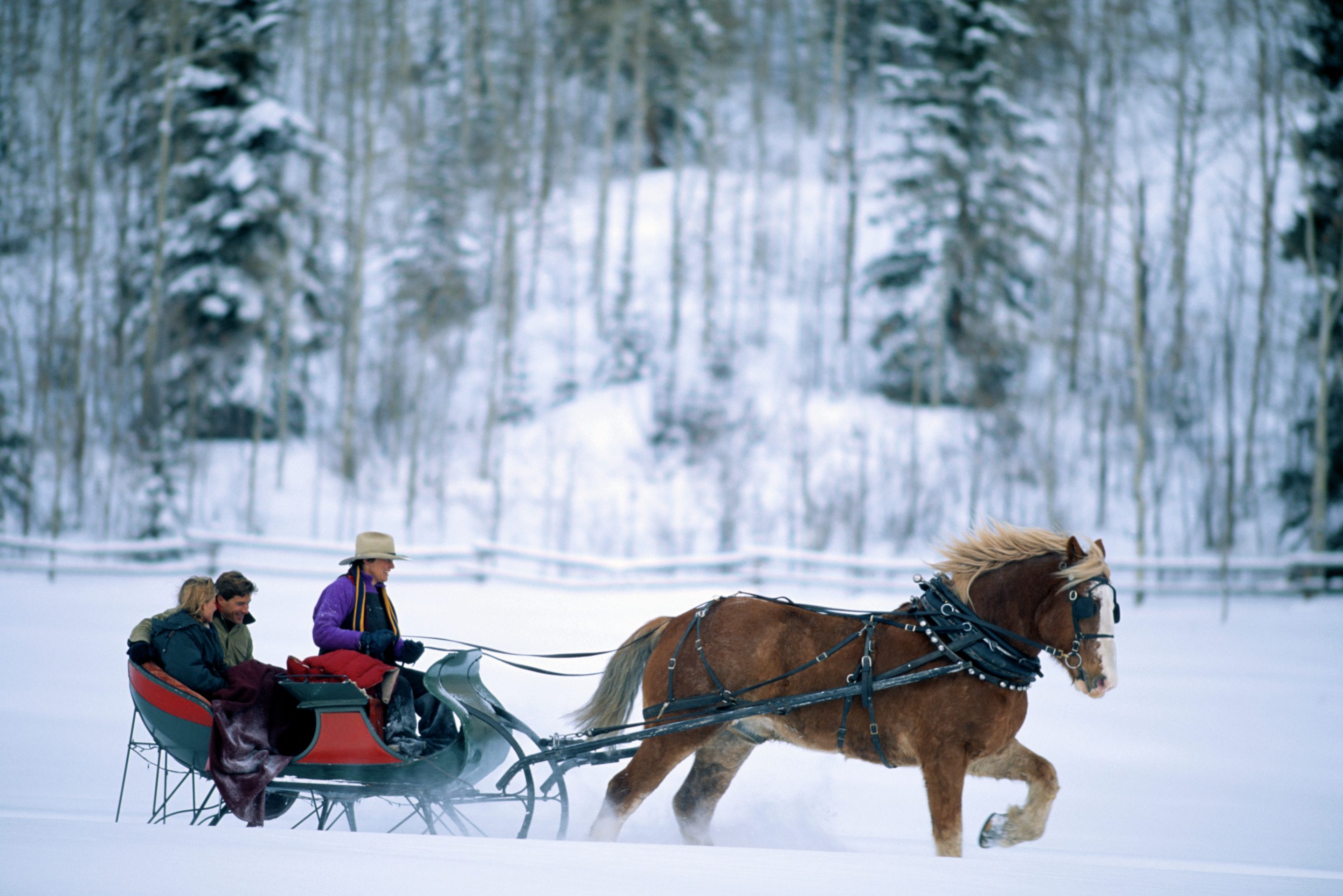 Uber is offering free reindeer sleigh rides. 