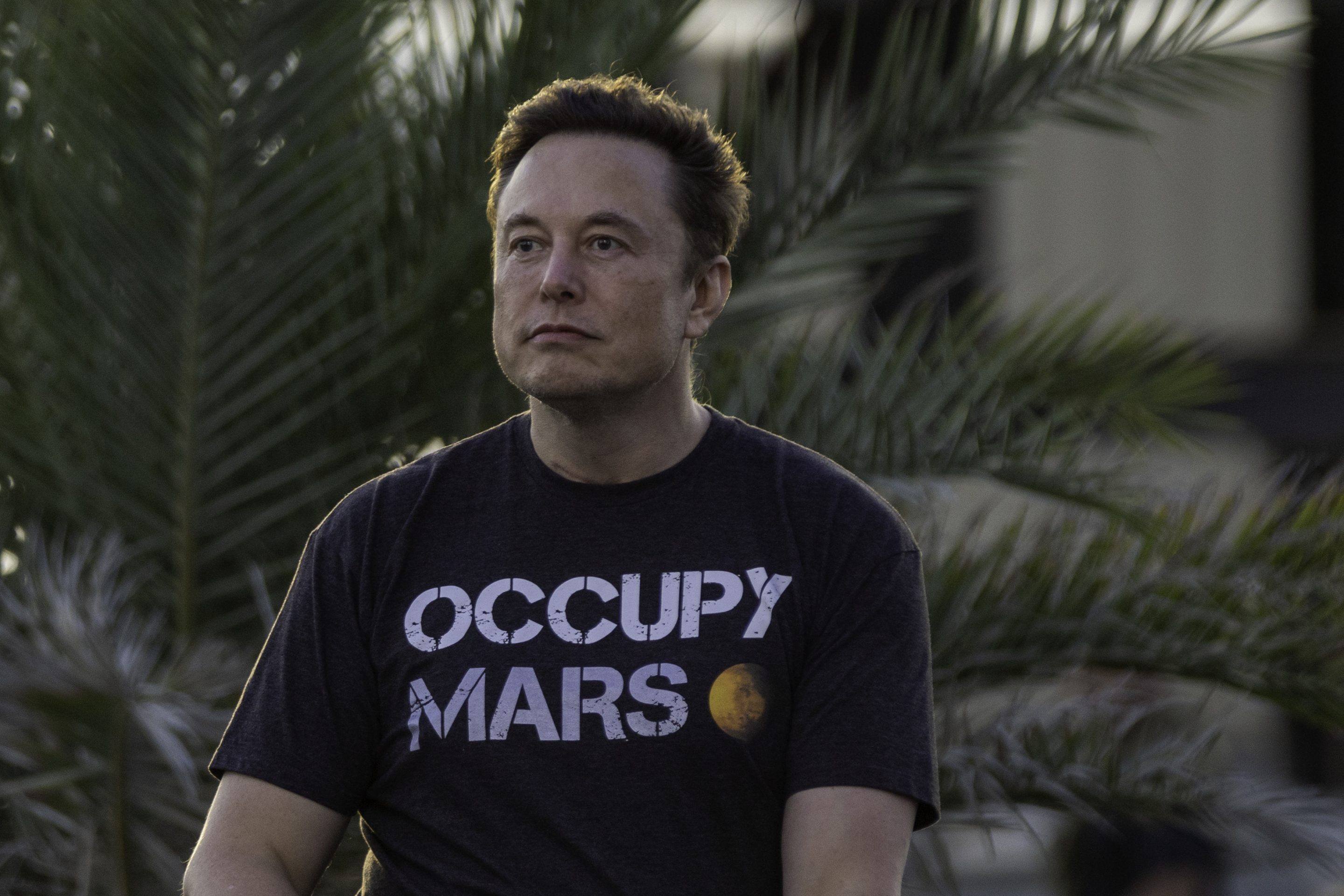 Elon Musk did not bother to understand Twitter’s business, technology, or culture before he bought the company, Elizabeth Spiers writes.