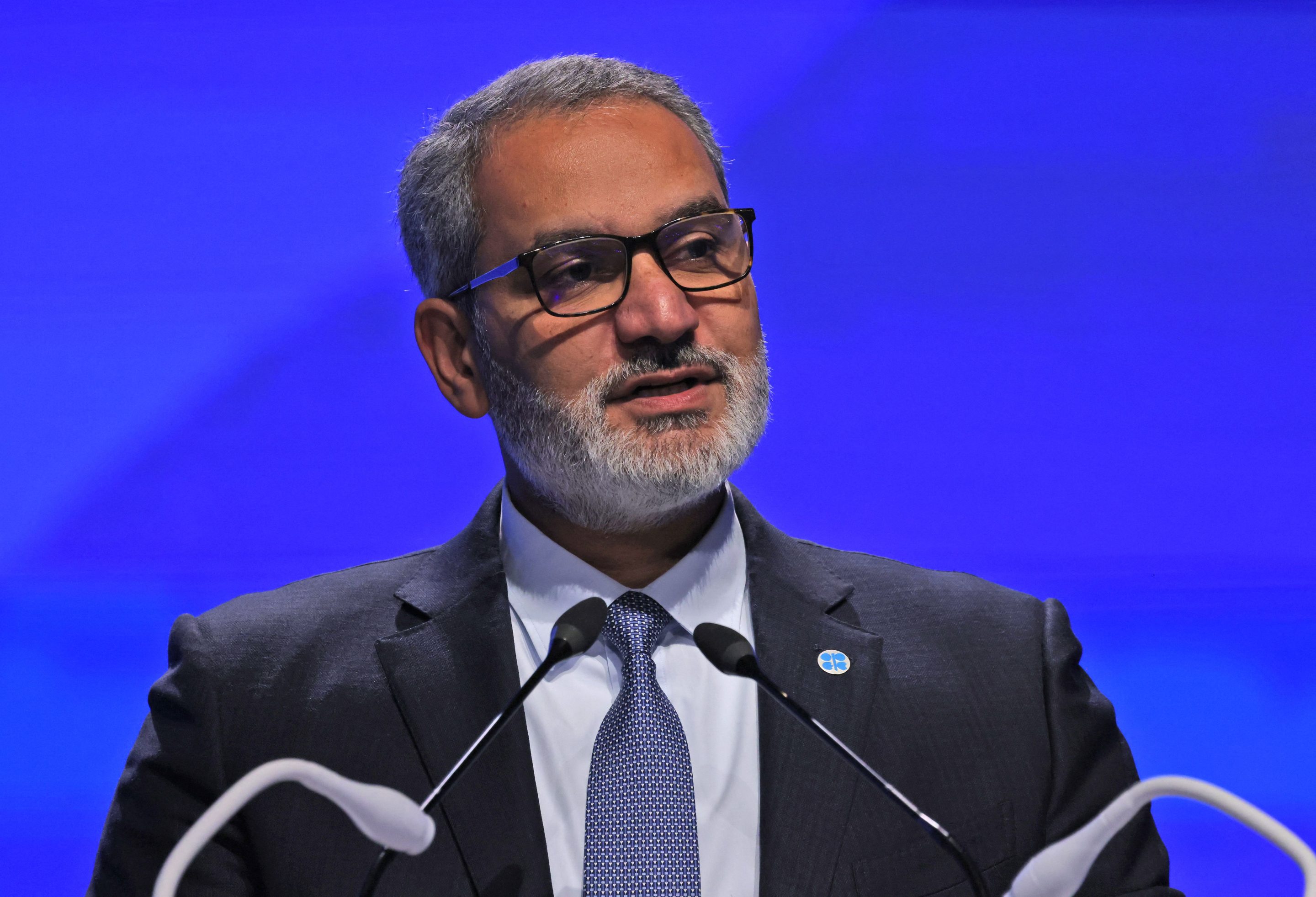 Secretary General of OPEC Haitham al-Ghais in November.
