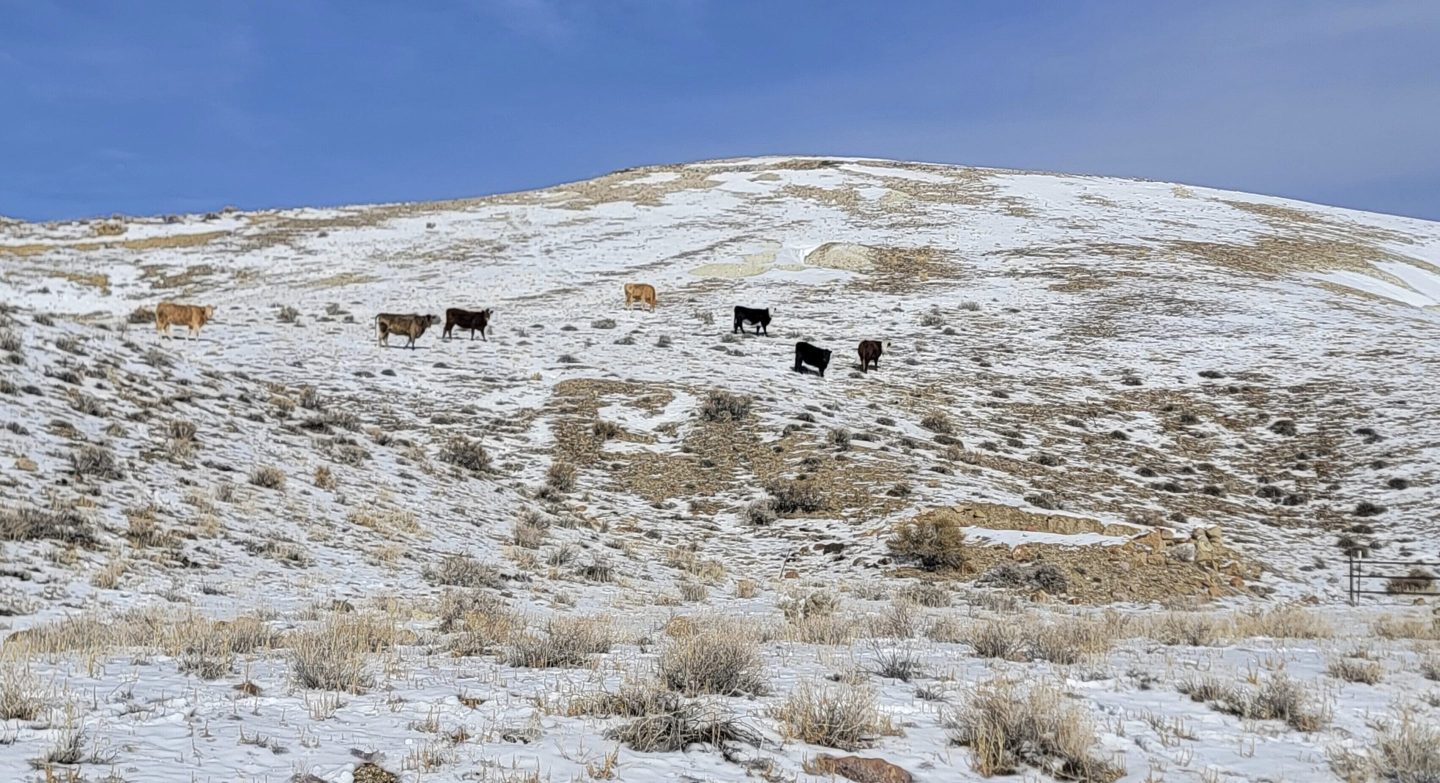 Nevada lithium site that could support production of 370,000 electric vehicles annually for decades gets boost with $700M government loan