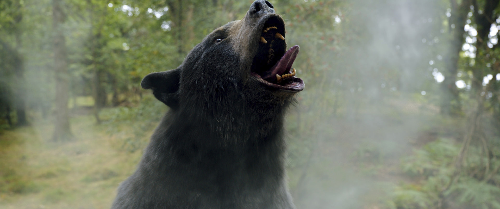 A scene from "Cocaine Bear," directed by Elizabeth Banks. 