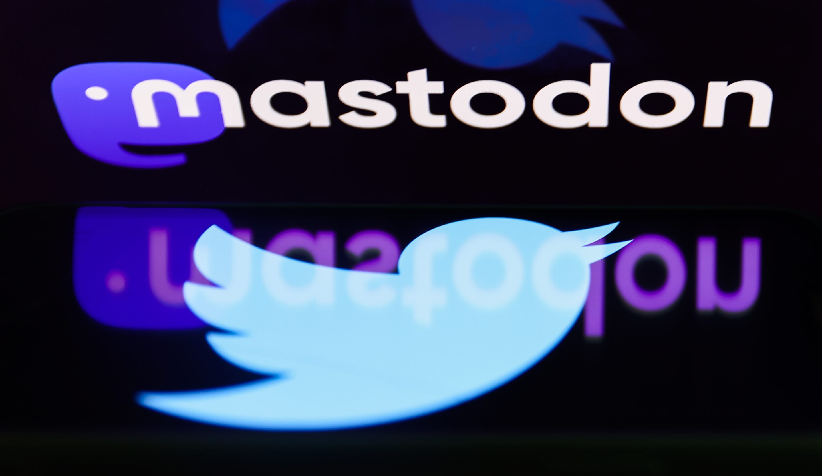 Twitter logo displayed on a phone screen and Mastodon logo displayed on a laptop screen are seen in this illustration photo taken in Krakow, Poland on November 14, 2022.