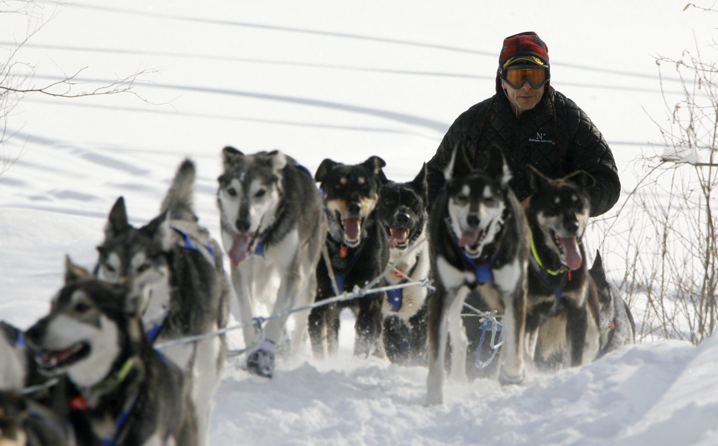 The world’s iconic Iditarod dog sled race has the fewest competitors ever because its $50,000 prize isn’t enough to keep up with inflation
