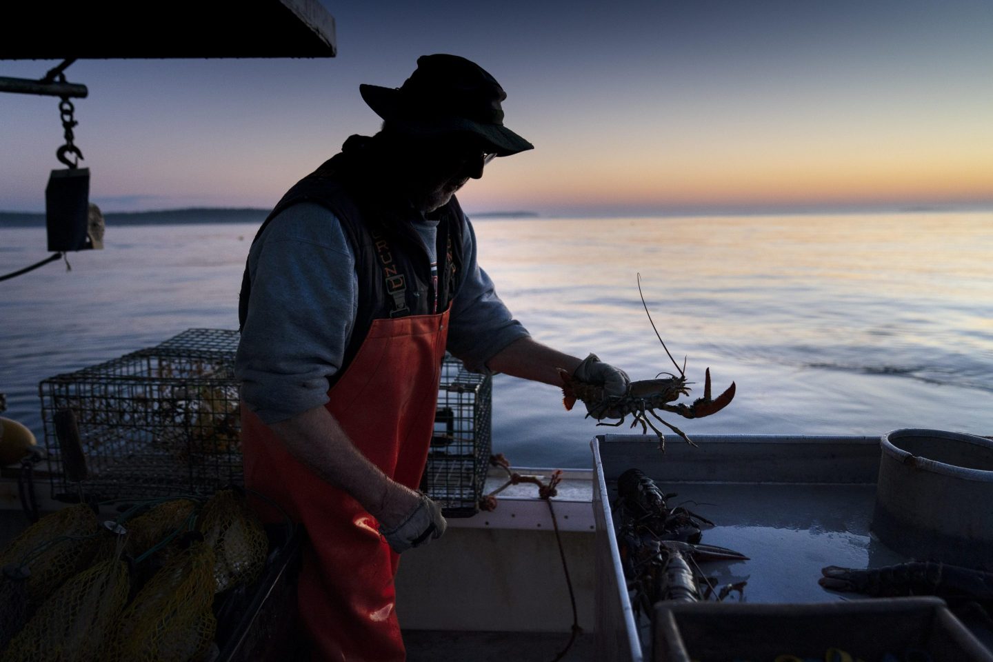 Maine lobsterman
