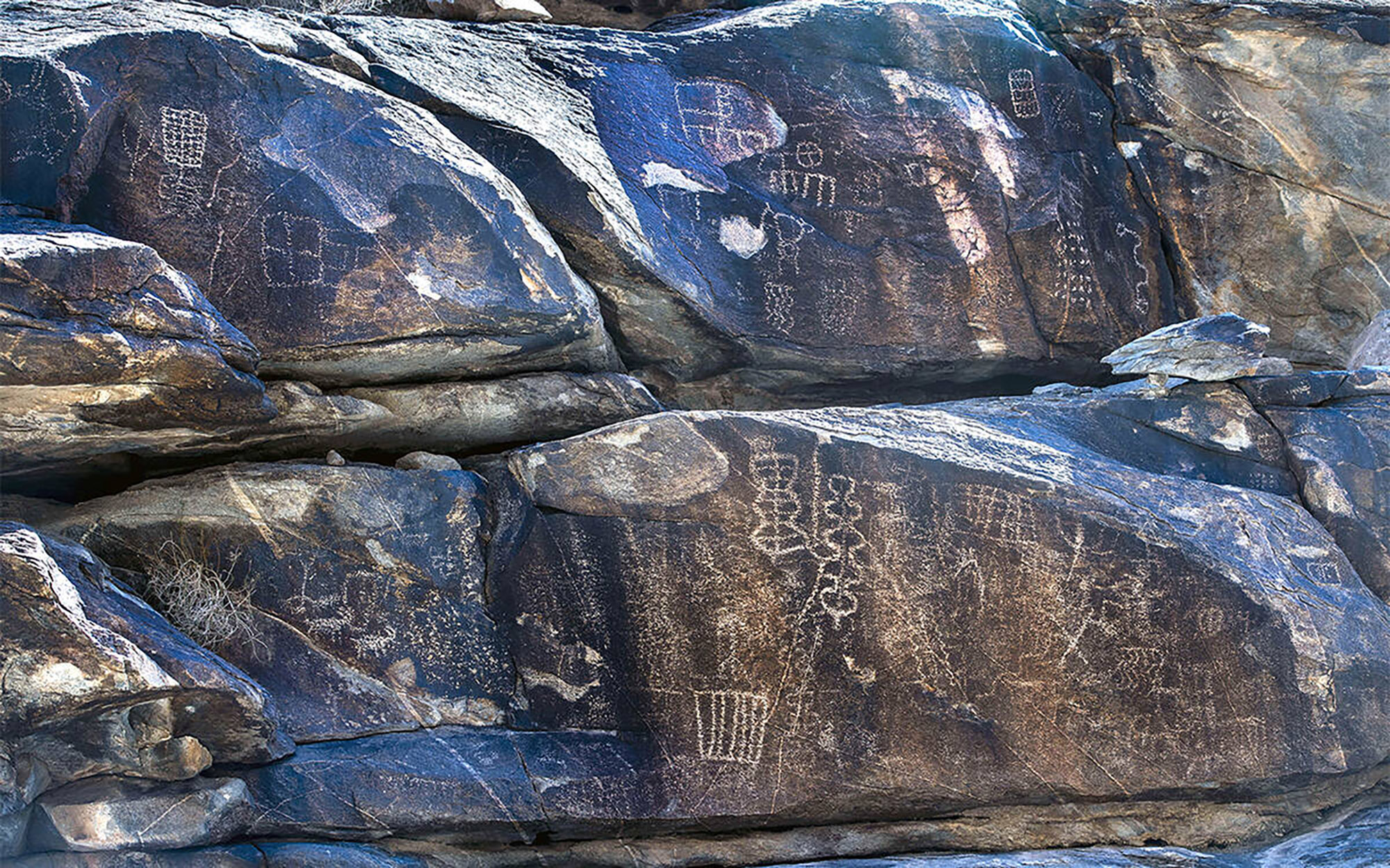 Native American petroglyphs line the rock walls along the canyon bottom within the proposed Avi Kwa Ame National Monument in Nevada.