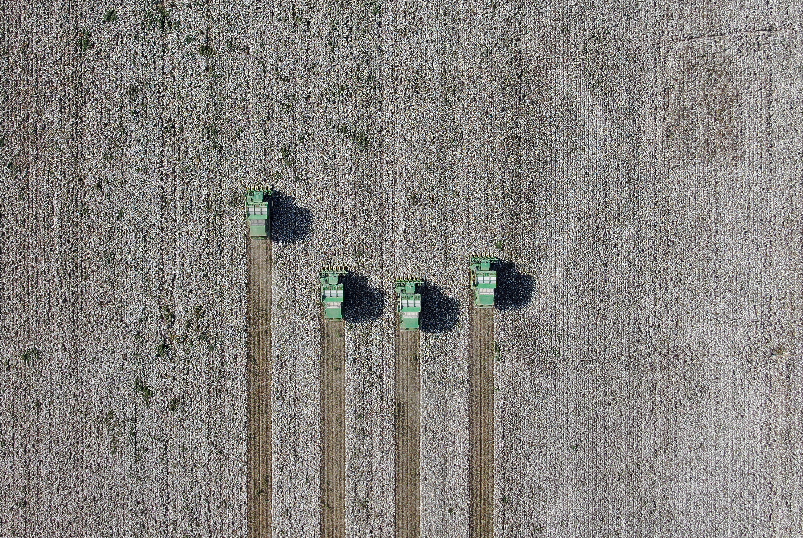 A U.S. ban on imports from Xinjiang created a major material risk for retailers purchasing Xinjiang cotton.
