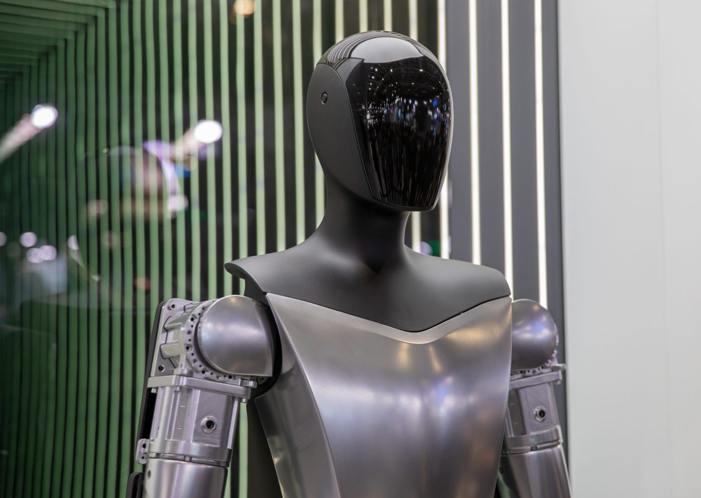 A Tesla Bot