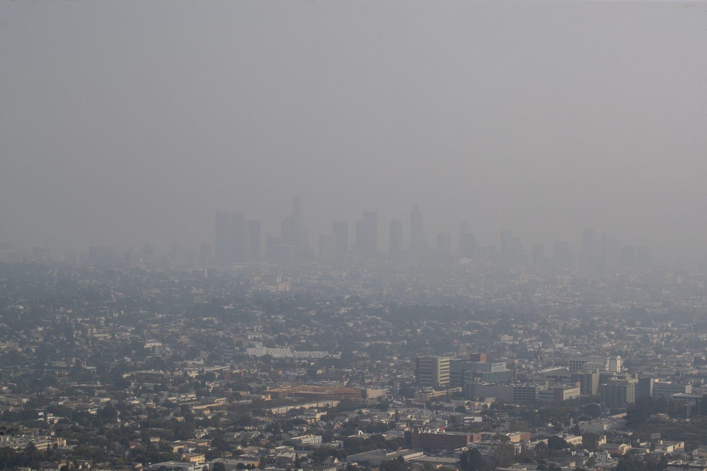 The higher the level of air pollution, the greater you’re at risk of dementia, Harvard researchers find
