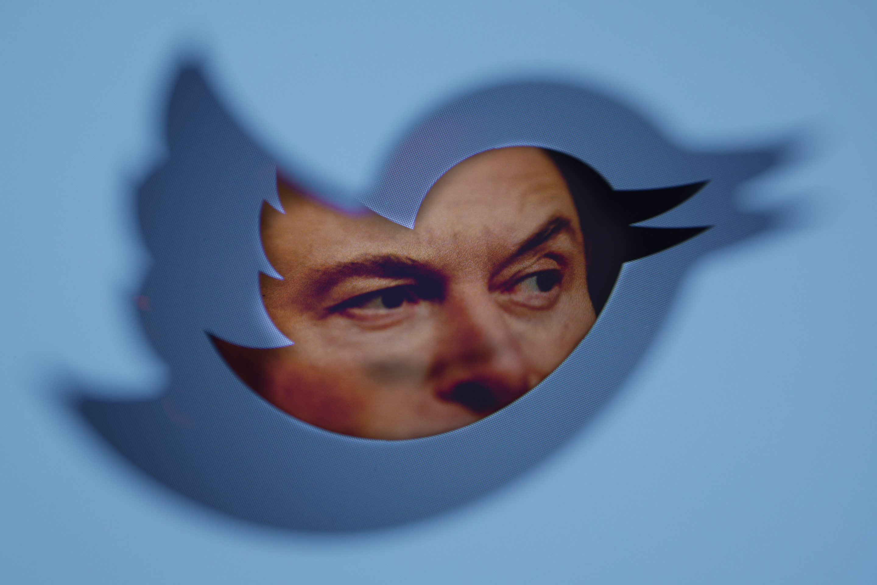 Twitter owner Elon Musk is seen with a Twitter logo in this photo illustration in Warsaw, Poland on 21 September, 2022. 