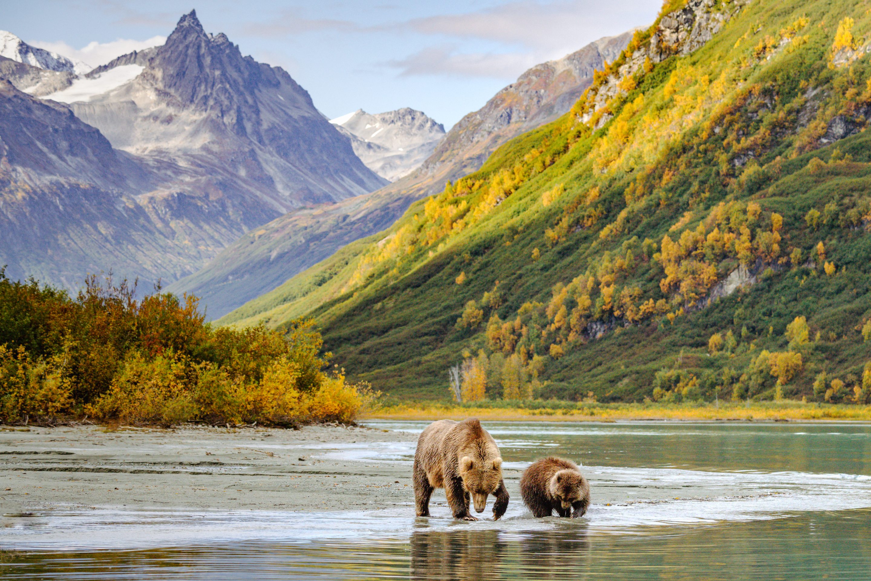 Lake Clark National Park and Preserve is a land of stunning beauty. Volcanoes steam, salmon run, bears forage, and craggy mountains reflect in shimmering turquoise lakes. 