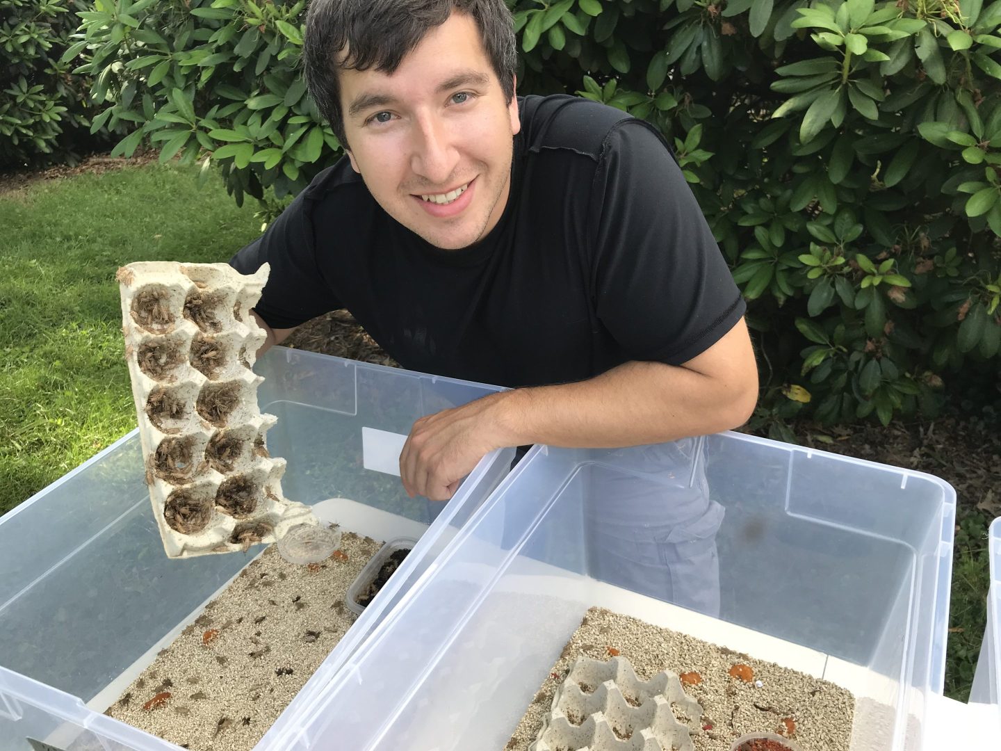 How a millennial dad turned breeding millions of crickets into a $30,000 side hustle