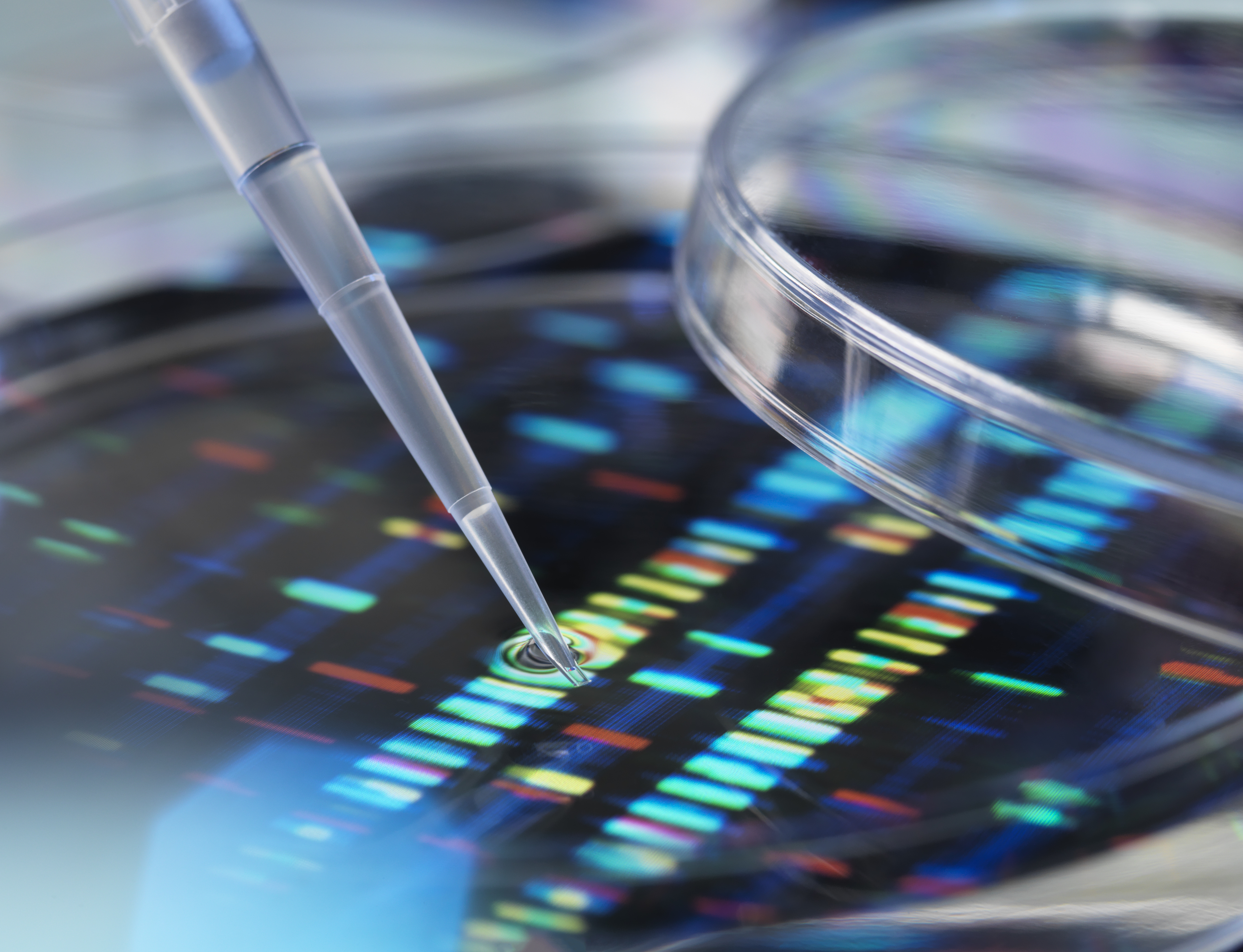 Pipette adding sample to petri dish with DNA profiles in background