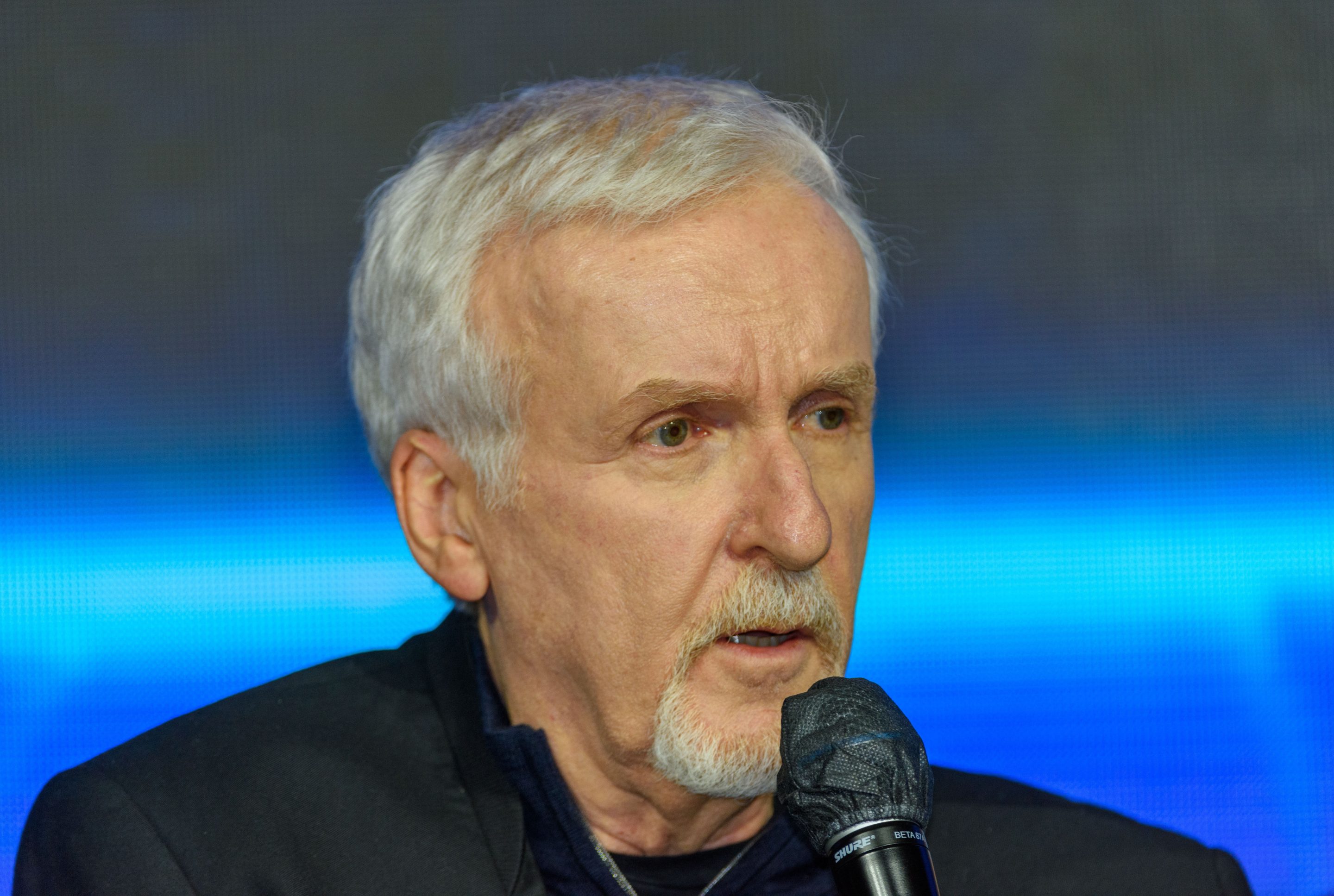 Filmmaker James Cameron.