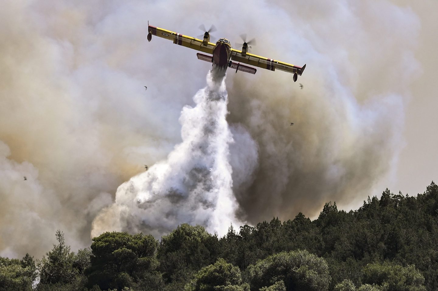 Extreme heat across the globe this summer has led to wildfires and health warnings in place in parts of Asia, Europe, and North America.