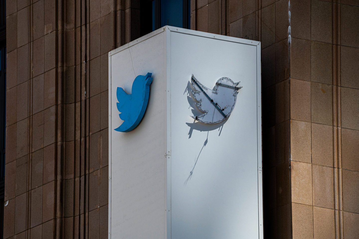 Passionate Elon Musk employees are coating the Twitter offices in black paint, and boasting about ‘hunting’ and eradicating remnants of the Twitter Bird