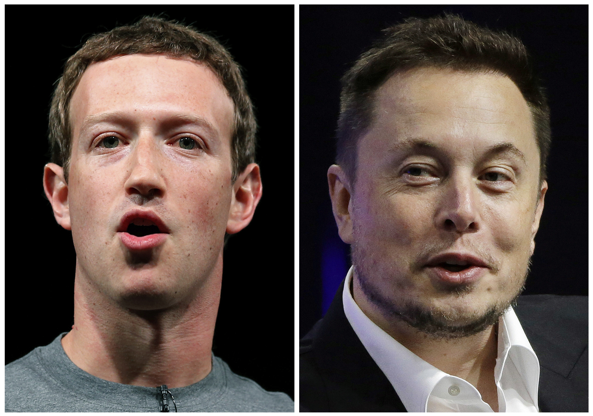 Zuckerberg and Musk