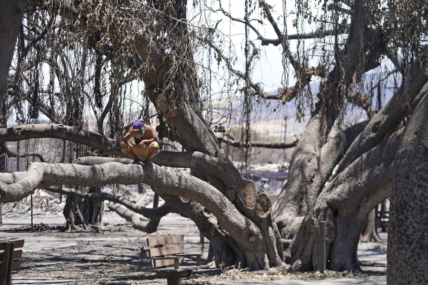 Hawaii residents fear ‘climate gentrification’ after devastating Maui fires cause $3.2B in property losses