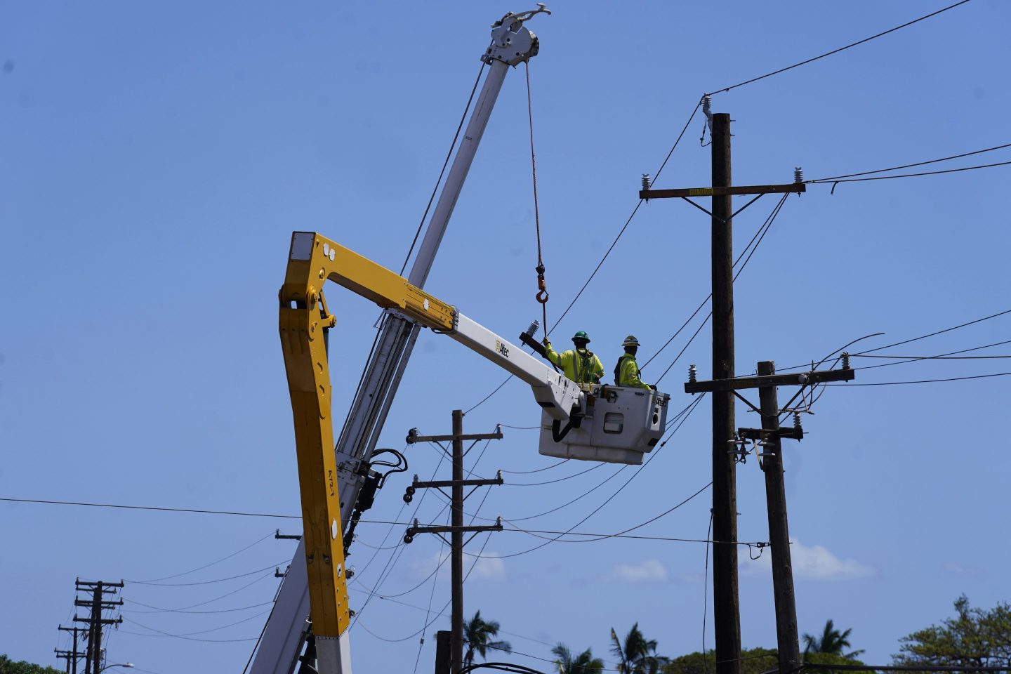 Hawaiian Electric