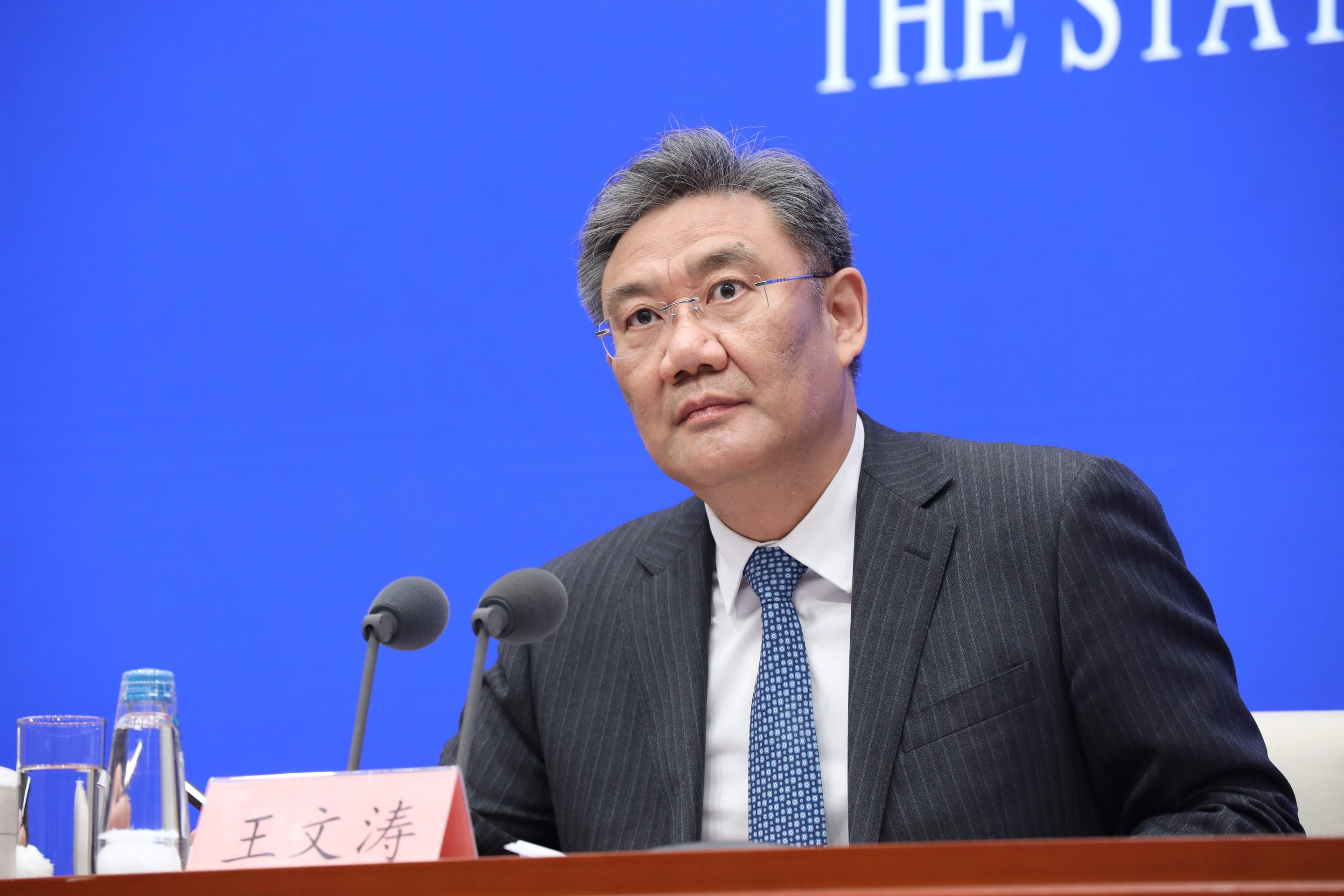 Wang Wentao