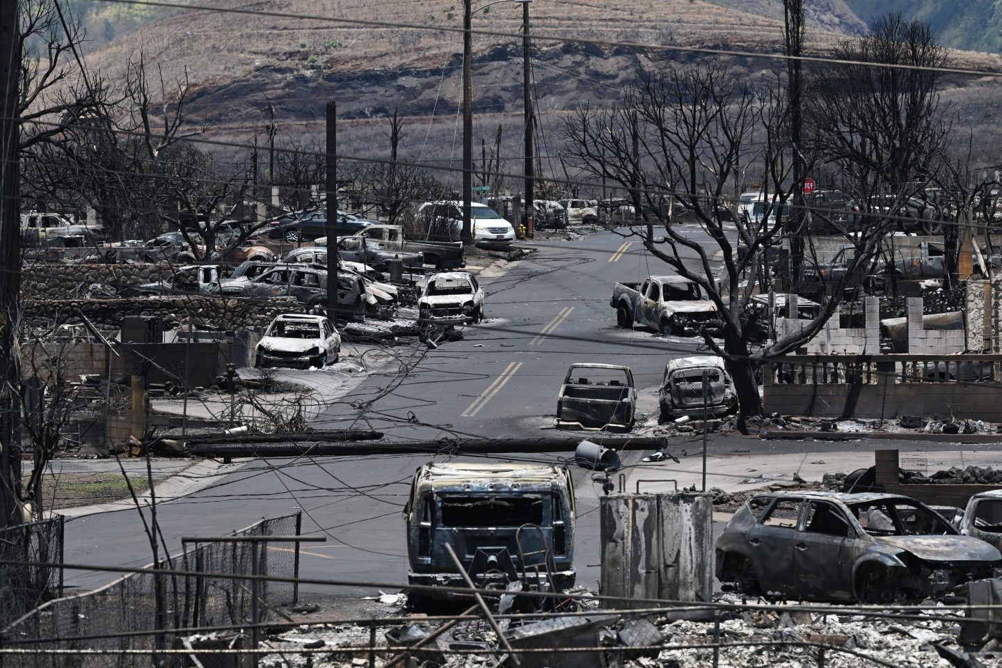 ‘I heard buzz, buzz’: Downed power lines are a prime suspect in at least some of Maui’s devastating wildfires