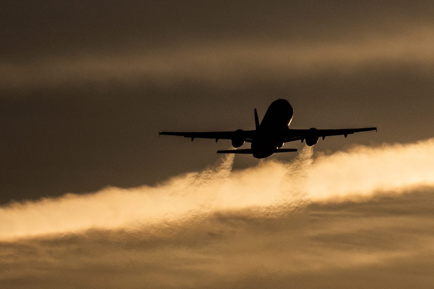 85% of the largest global companies report travel-related emissions because they’re easy to measure.