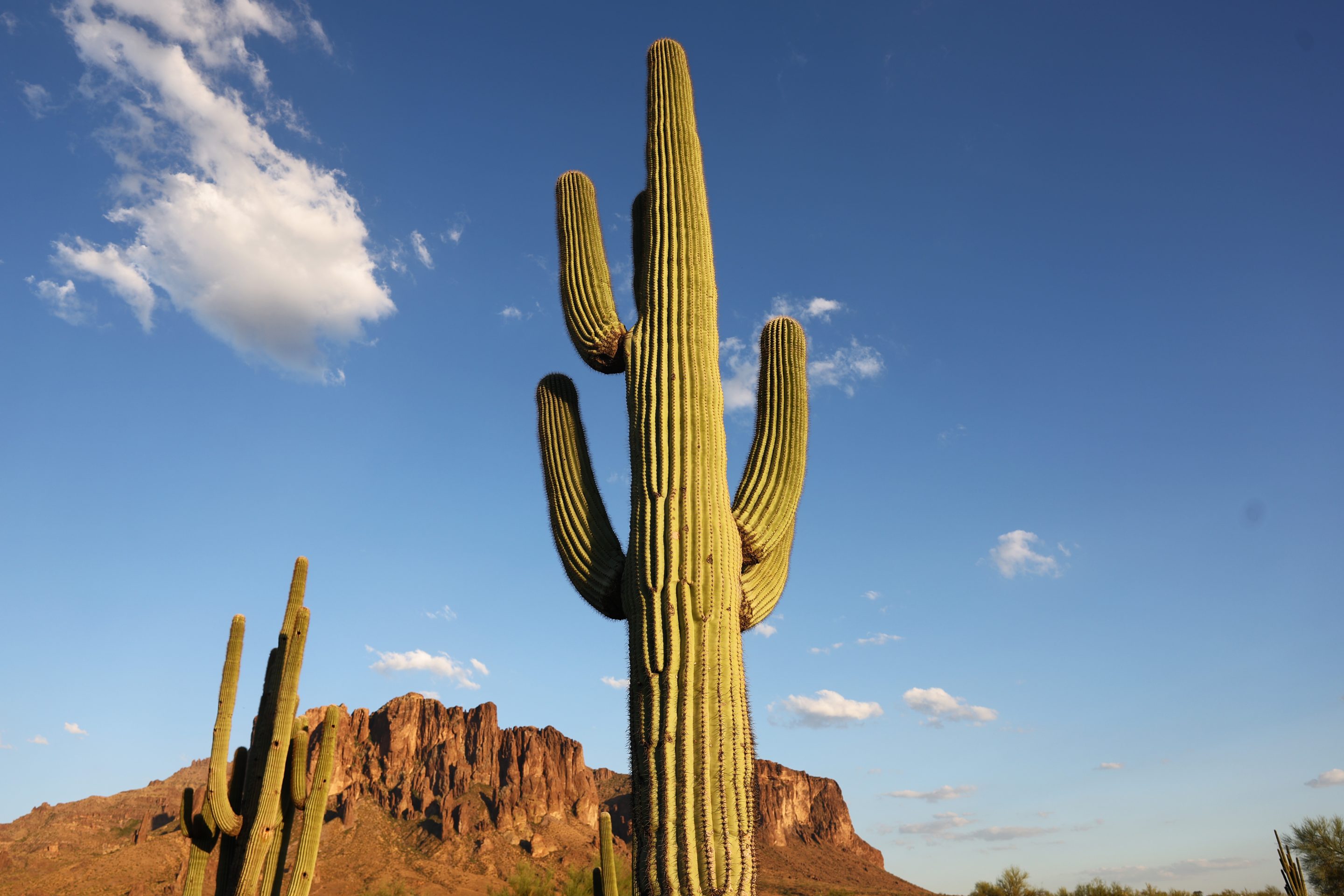 Phoenix may soon set another heatwave record. 