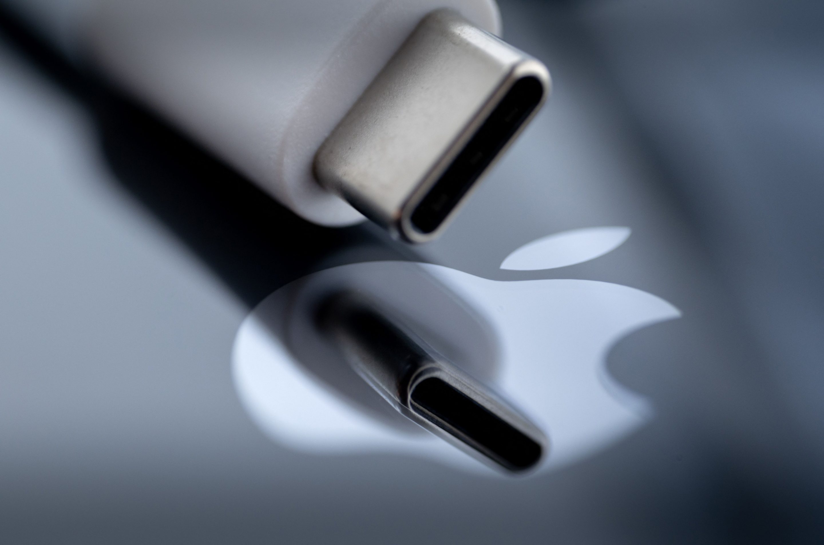 A USB-C plug.