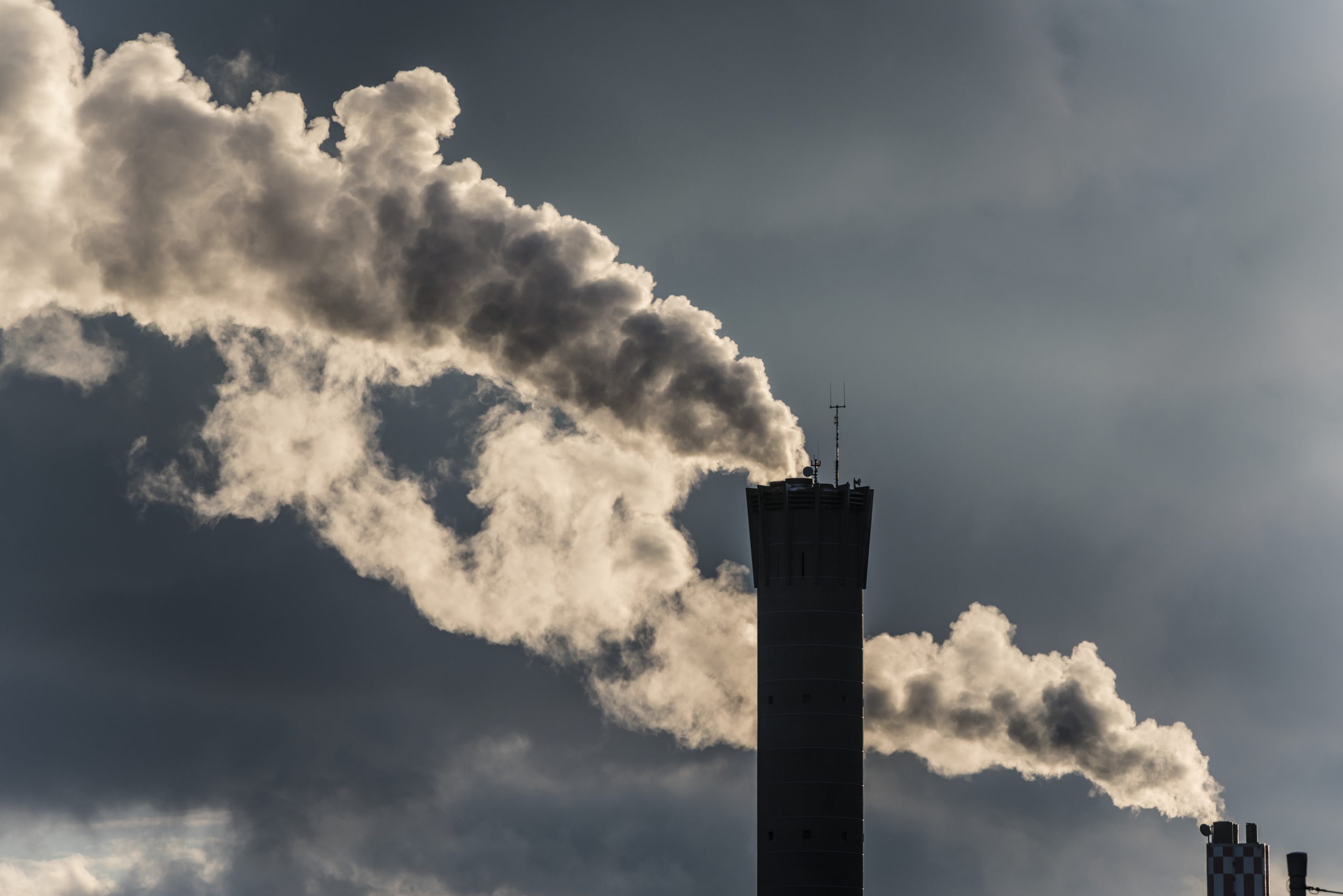 Only 66% of Fortune Global 500 companies have a net zero pledge as of 2022—the exact same level as the year before.