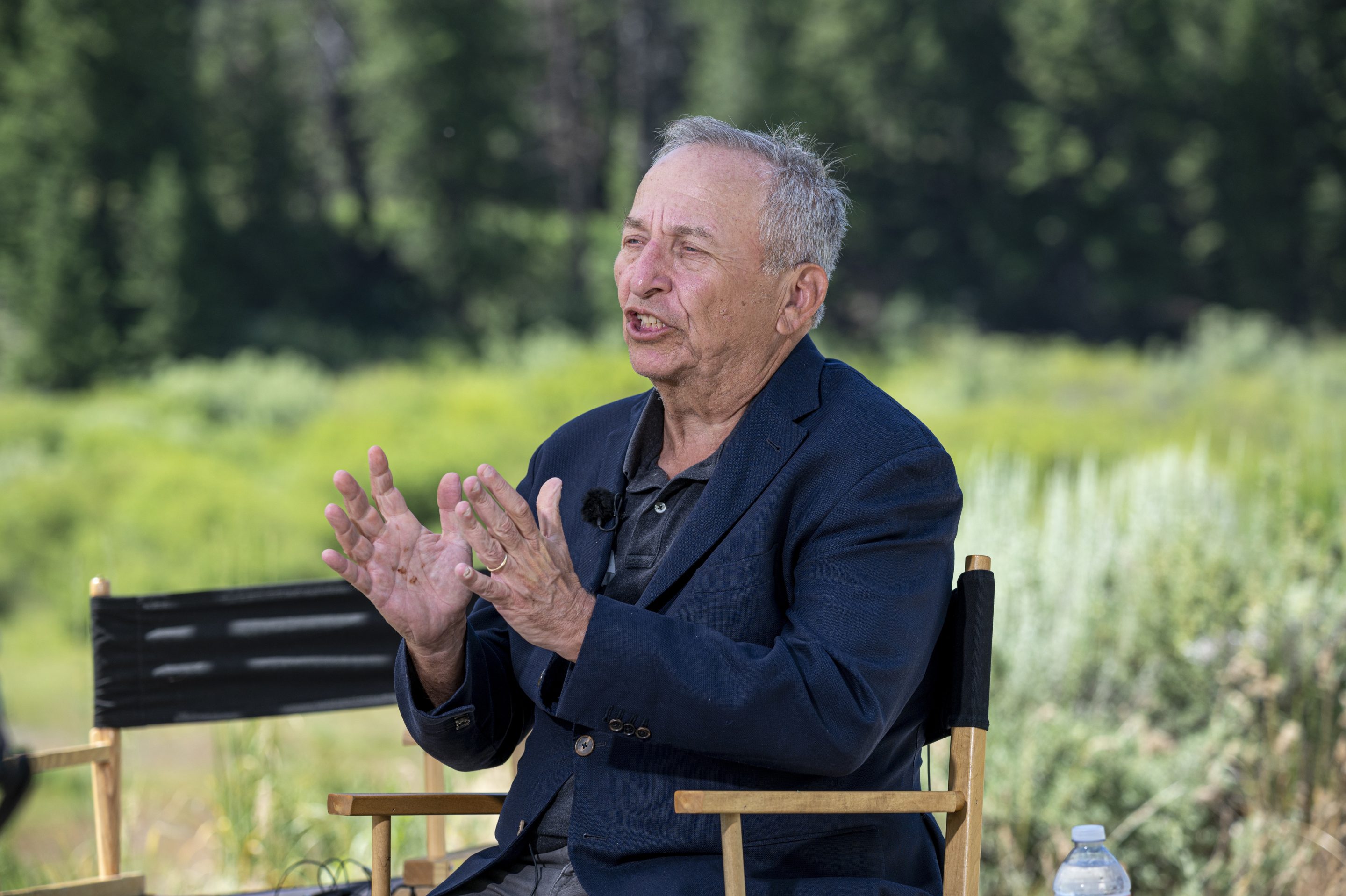 Former Treasury Secretary Larry Summers